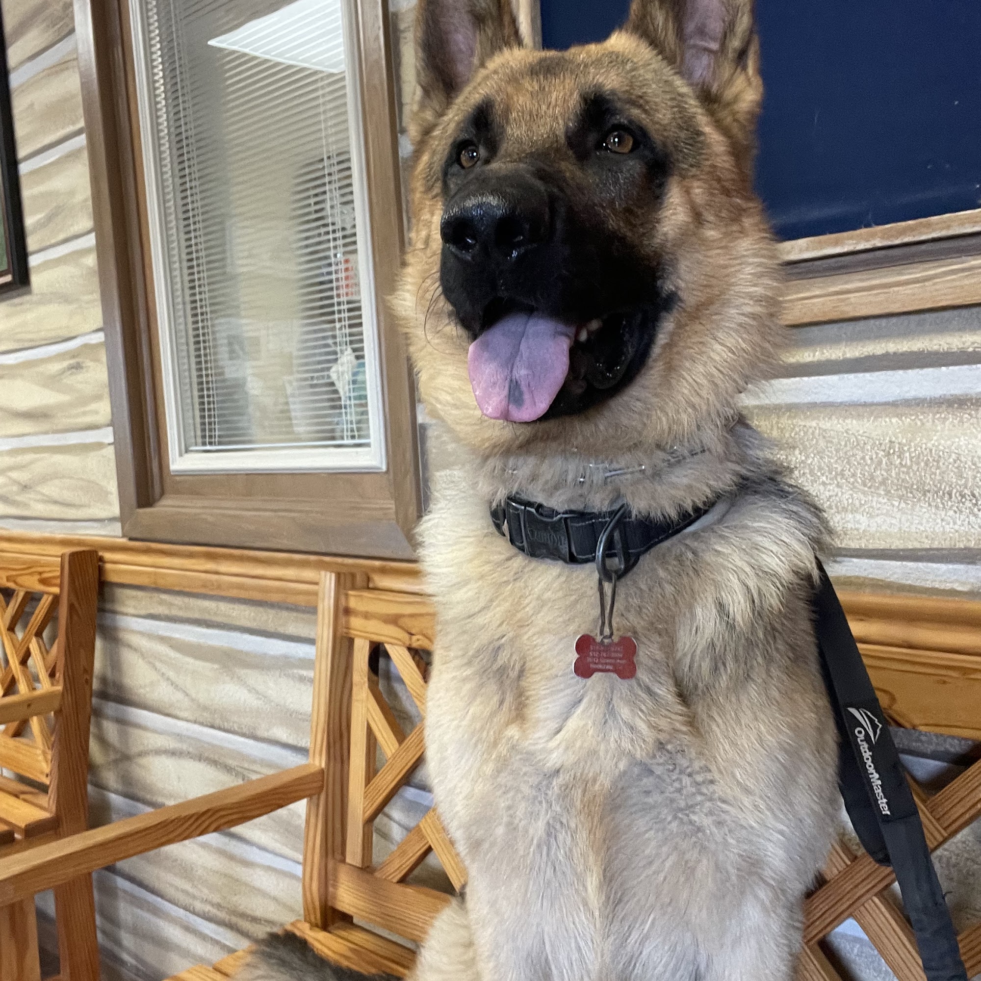 Veterinary Medical Arts Center Cameron