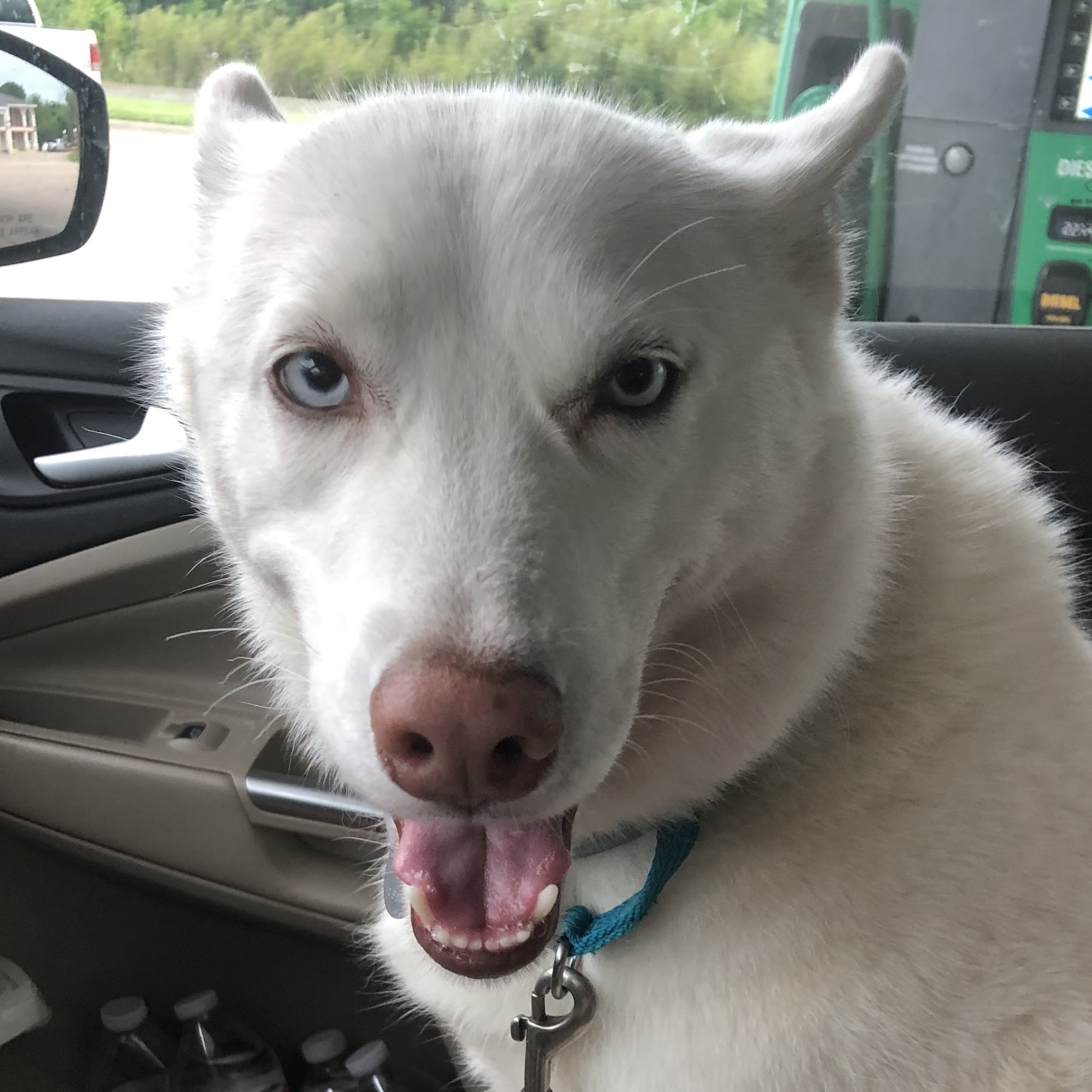 Casa McKibben Cameron