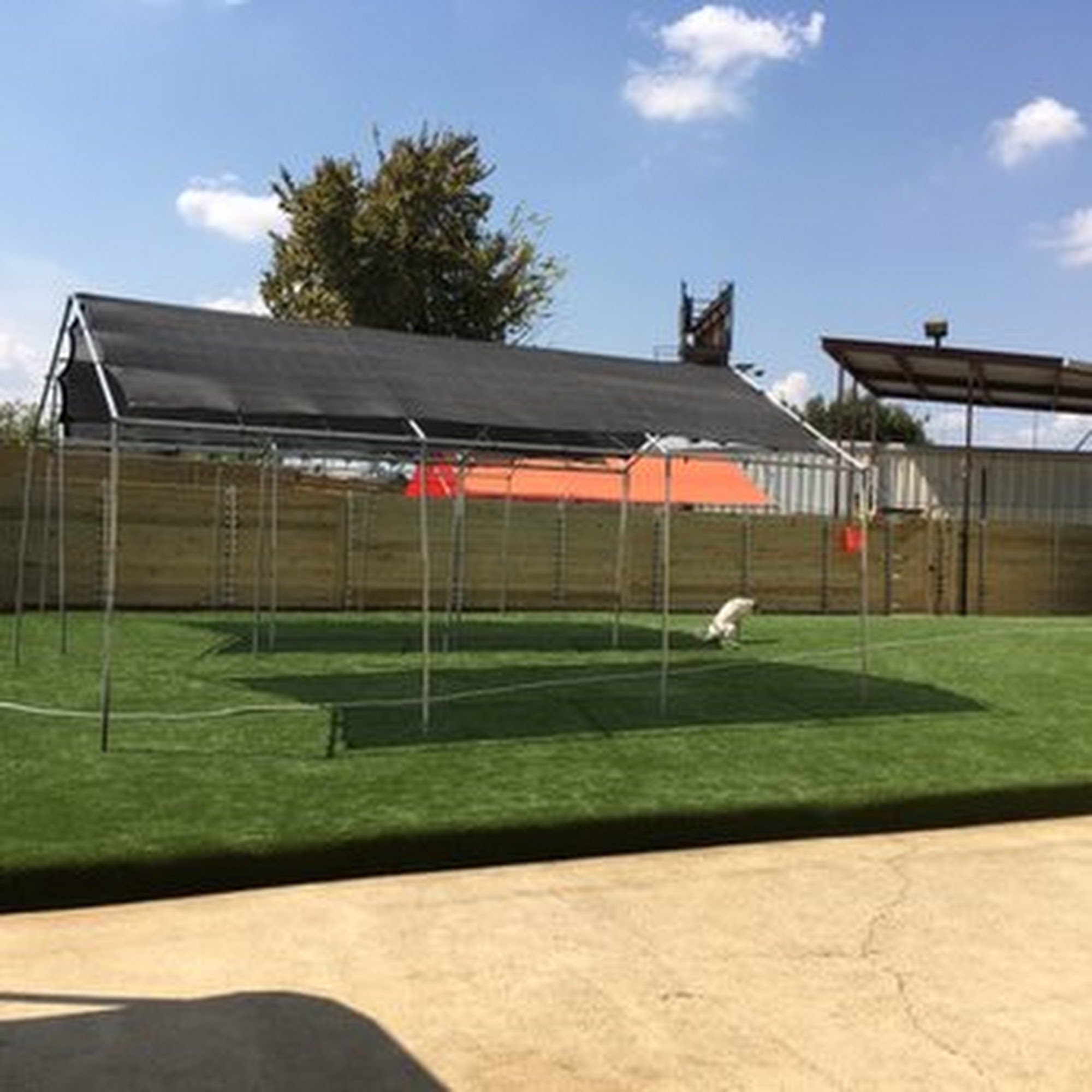 Barney's Ranch Carrollton