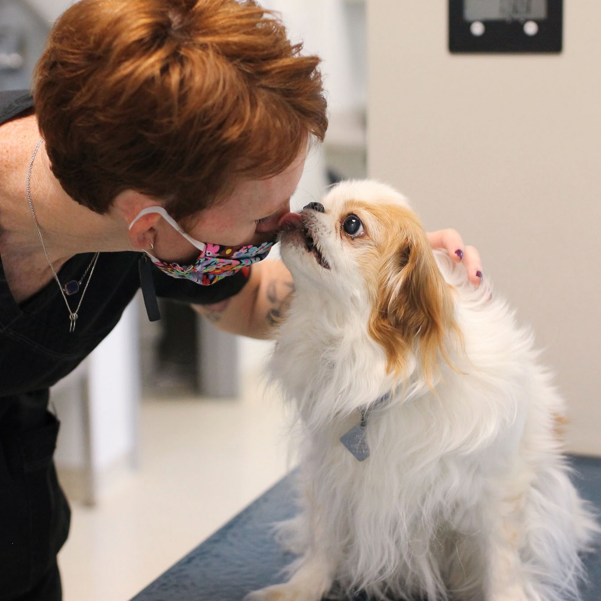 Operation Kindness Carrollton