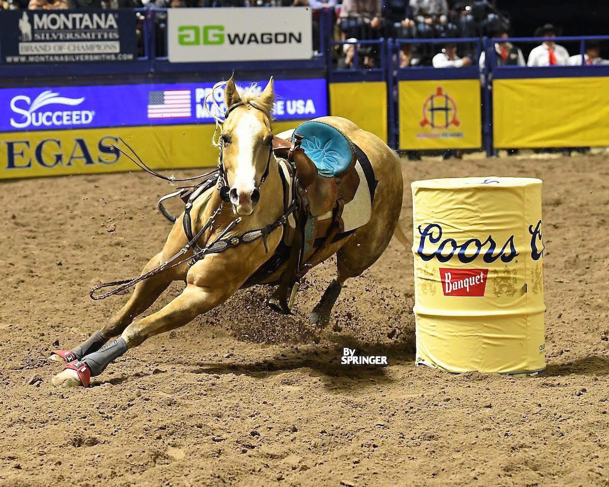 Advanced Care Veterinary Services Carrollton