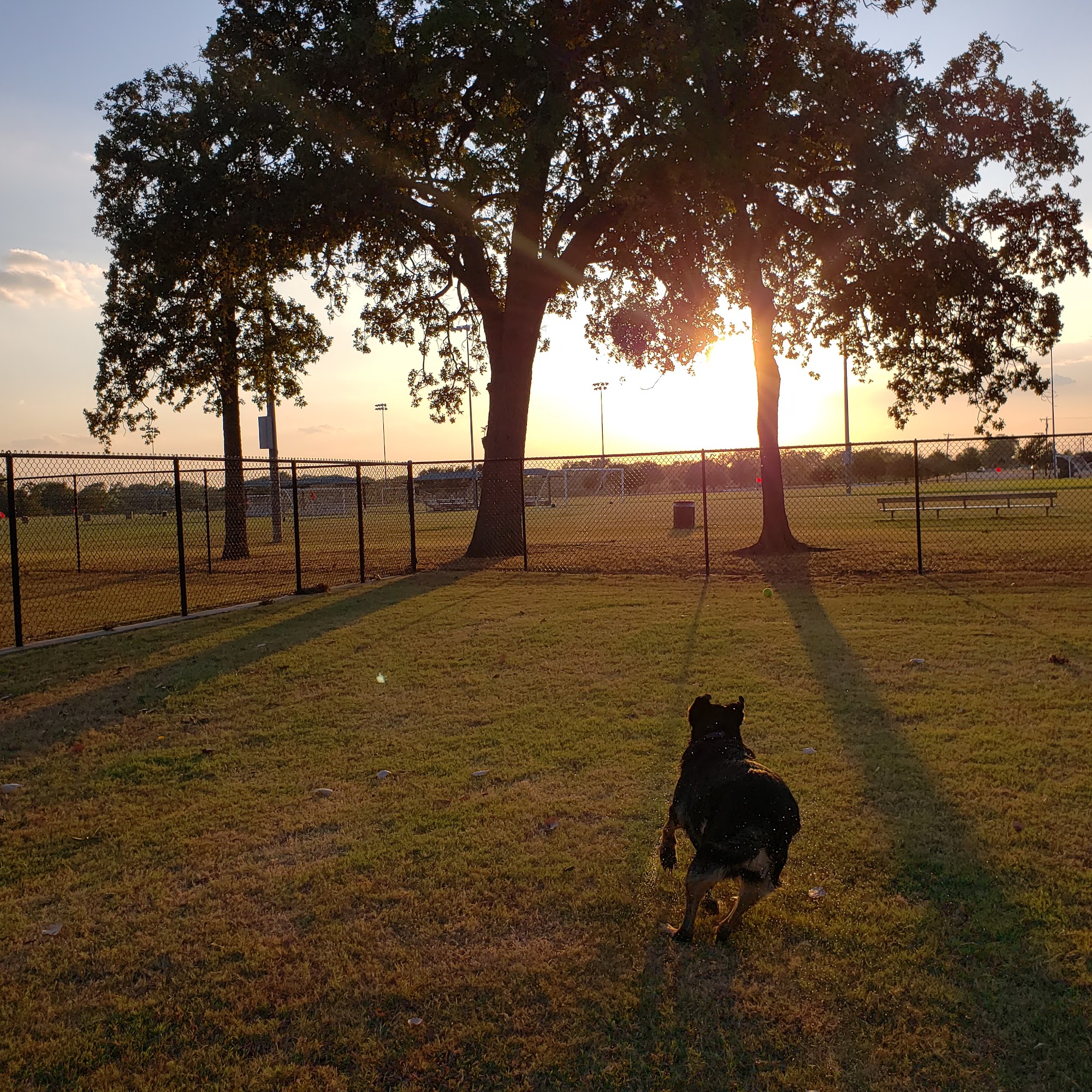McInnish Dog Park Carrollton