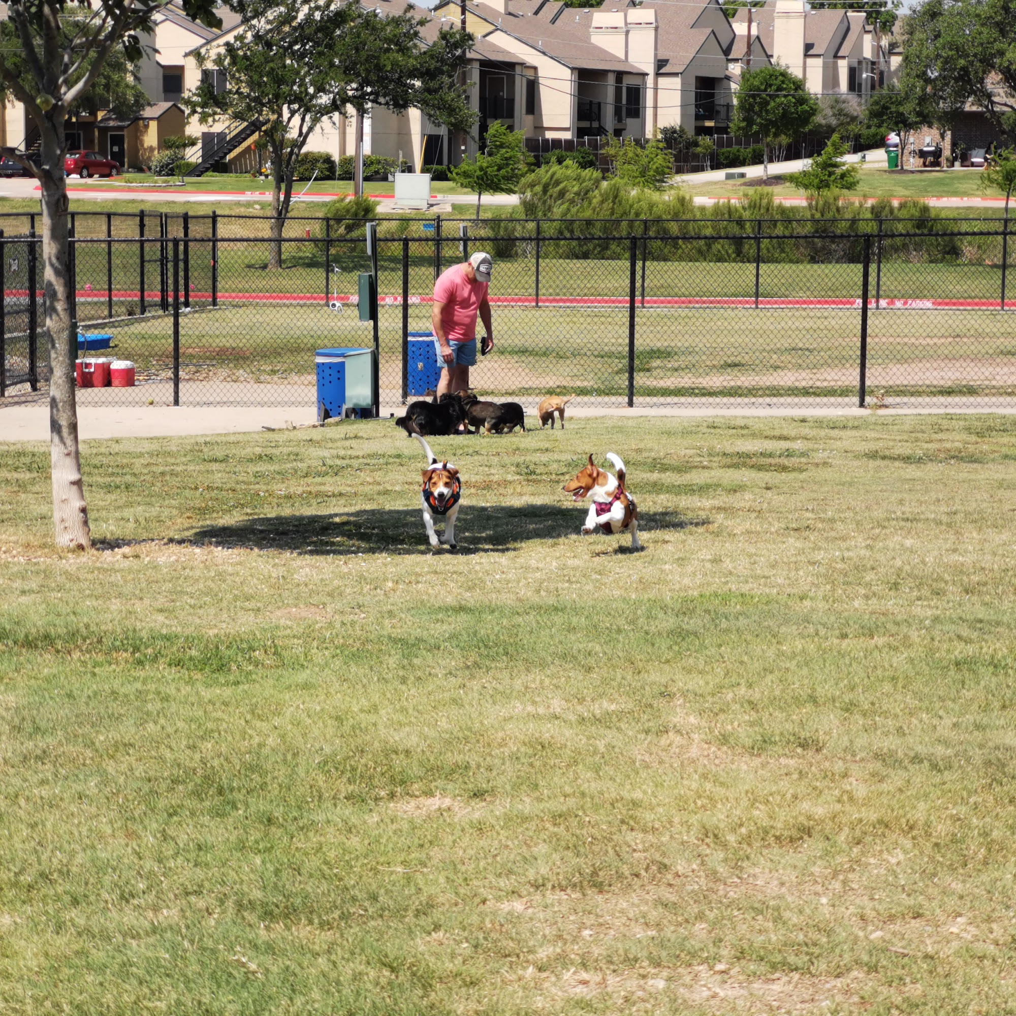 Rosemeade Dog Park Carrollton