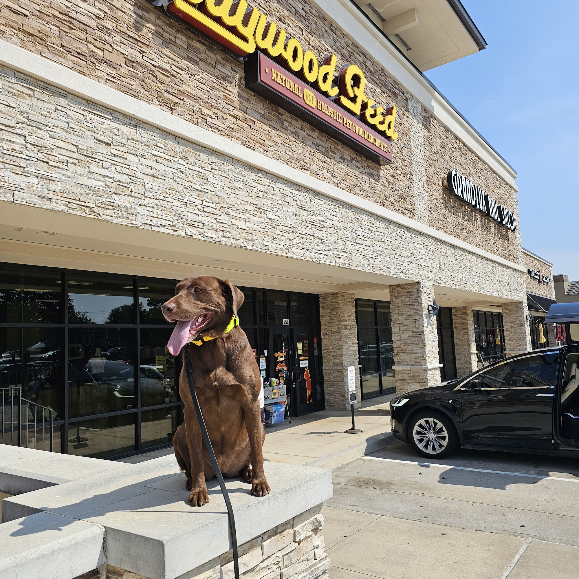 Tip Top K9 Carrollton Dog Training Carrollton