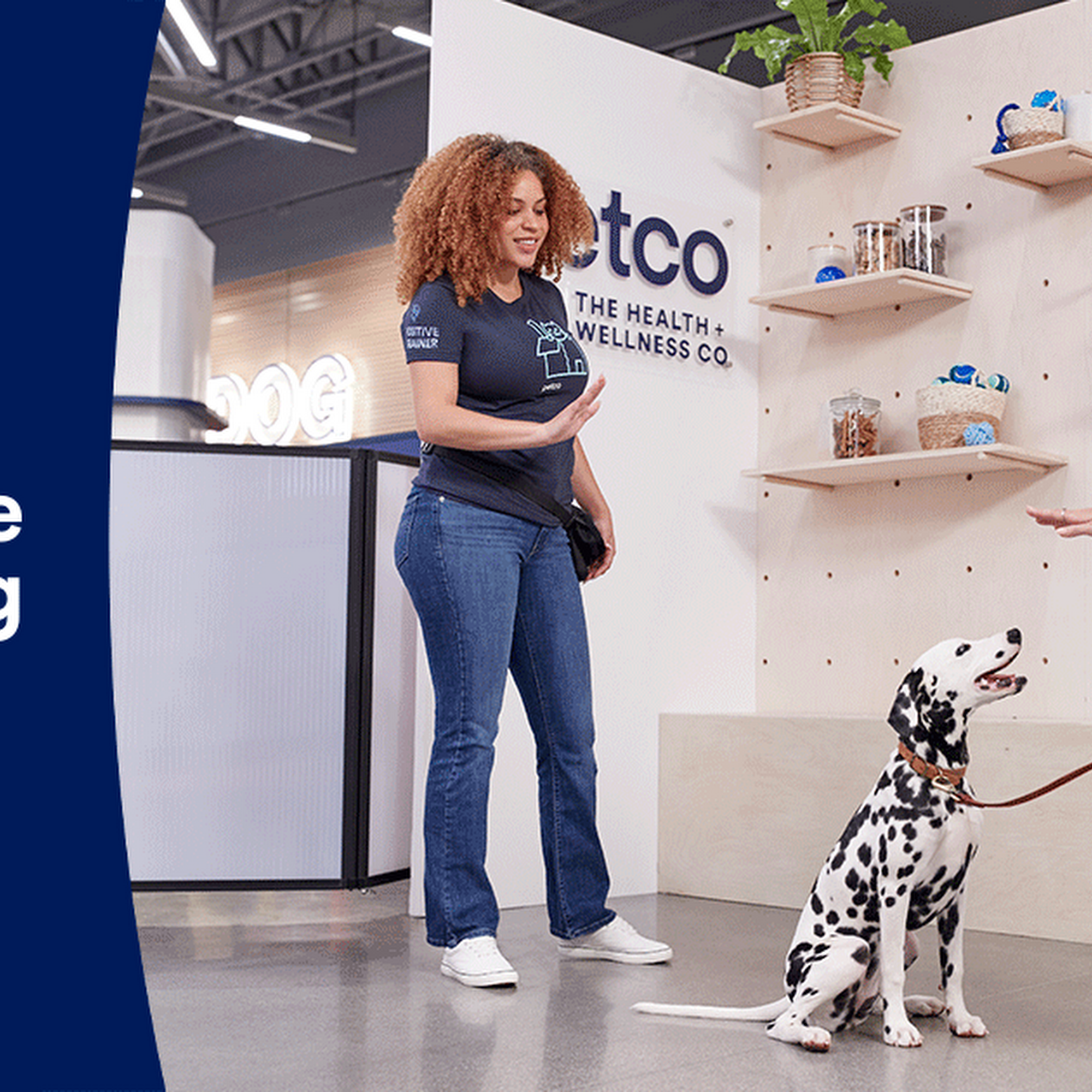 Petco Dog Training Carrollton