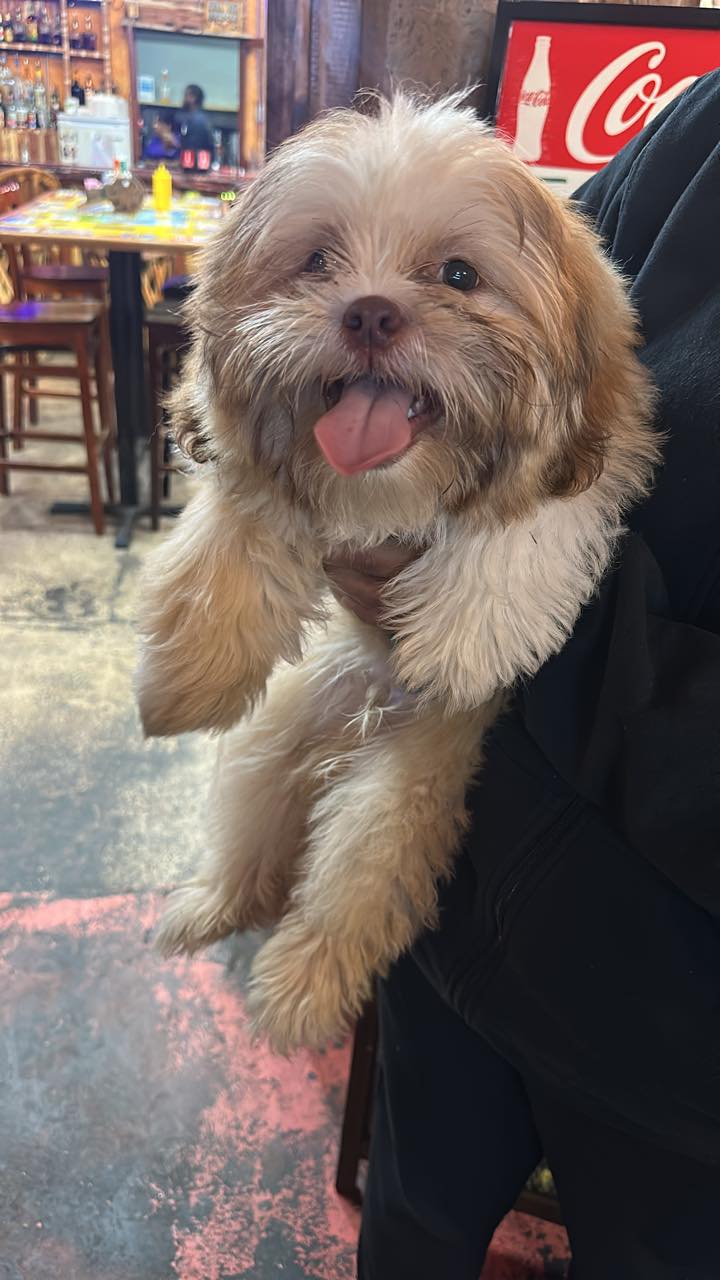 Rancho Grande Carthage