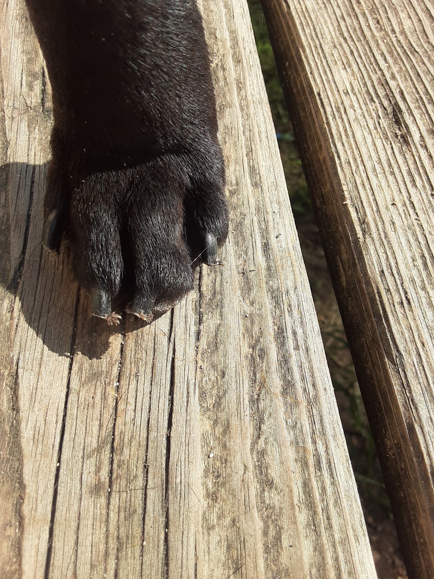 Highway 71 Veterinary Hospital Cedar Creek