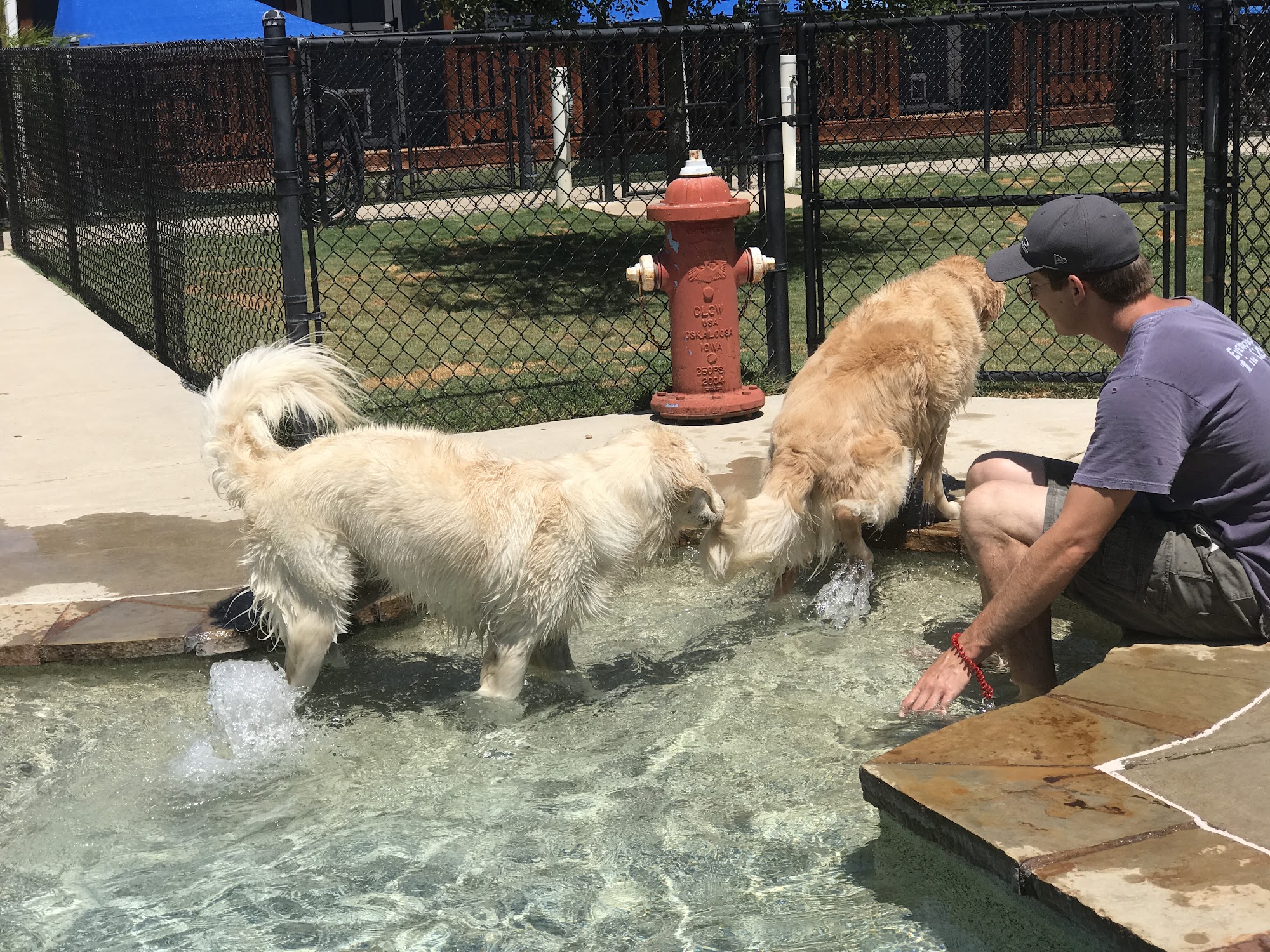 Best Friends Boarding Too Cedar Creek