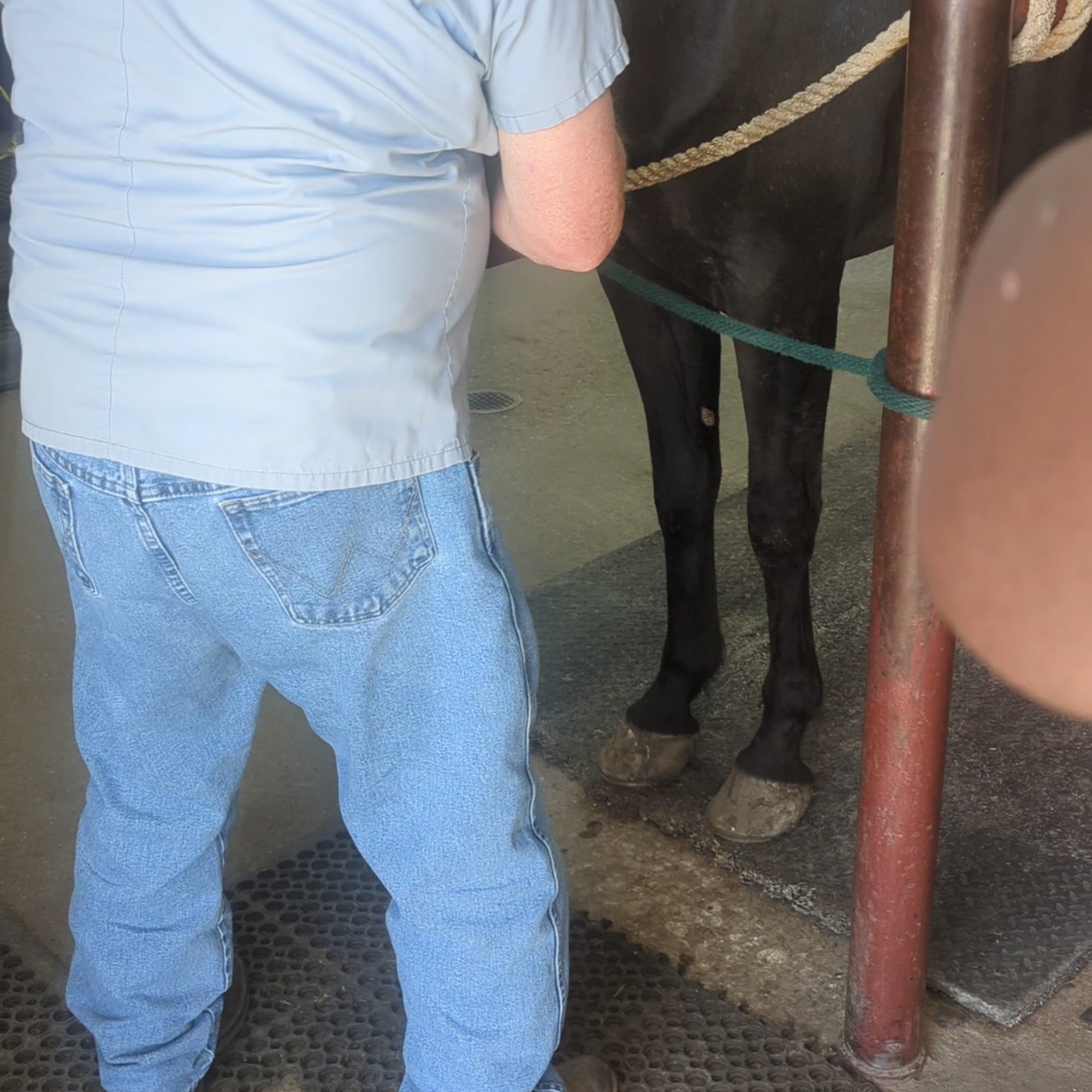 Cedar Hill Veterinary Clinic Cedar Hill