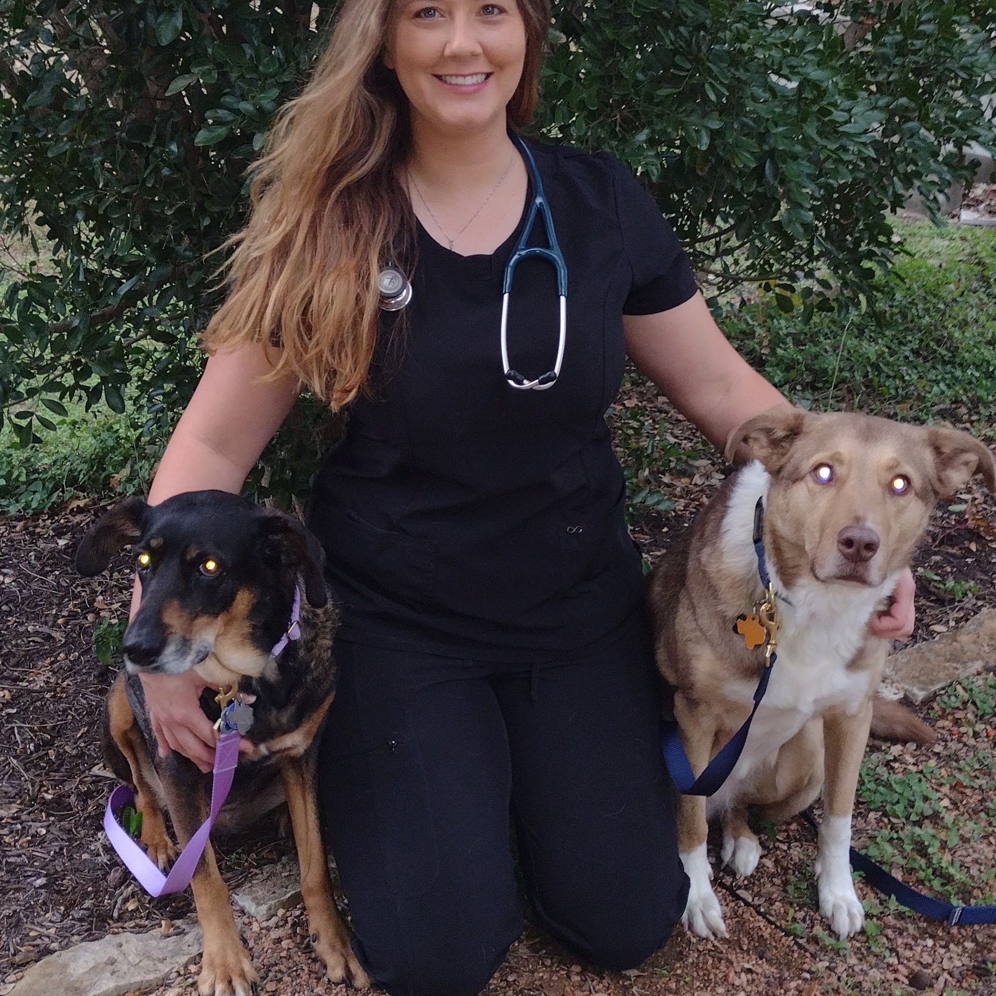 Parmer Lane Pet Hospital Cedar Park