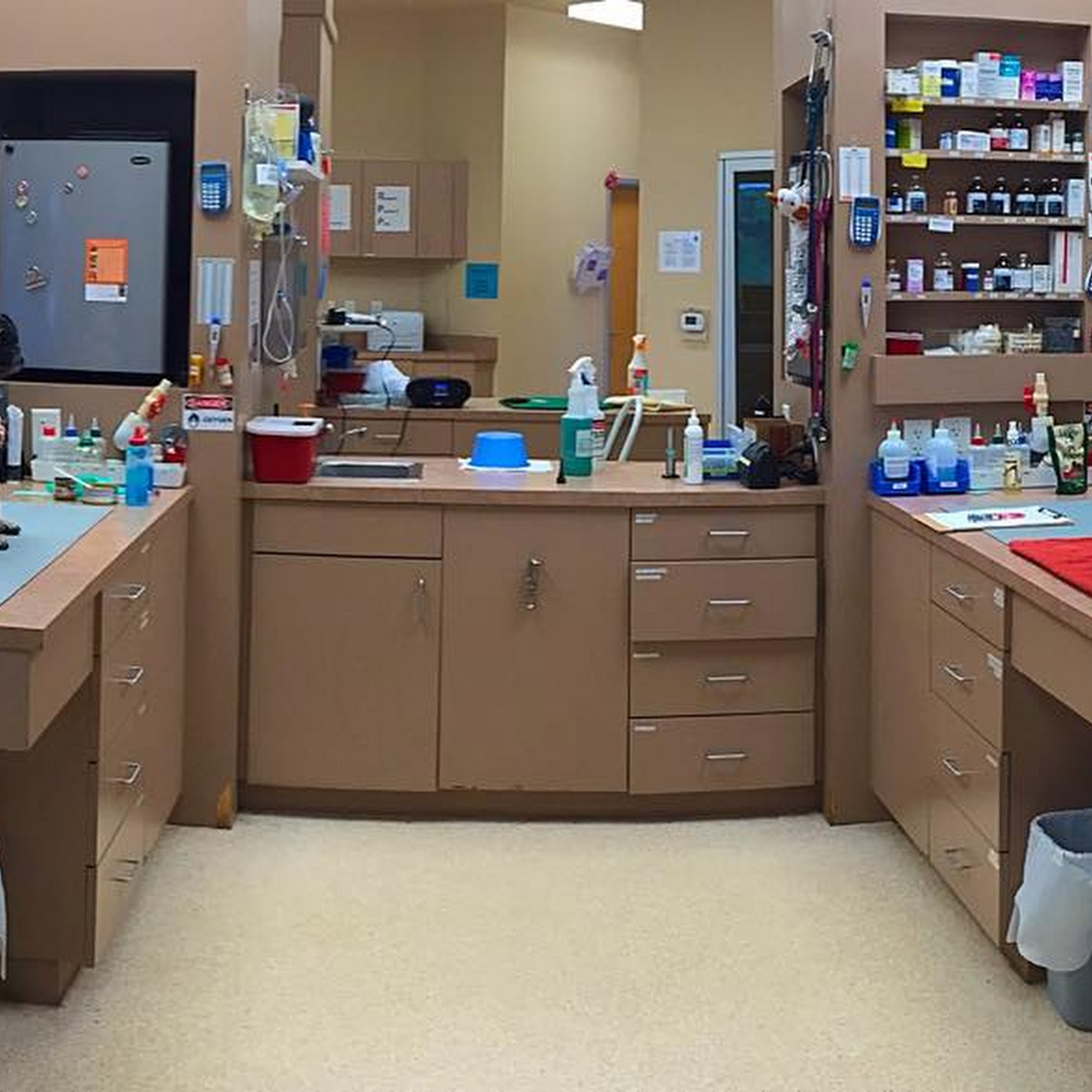 Cypress Creek Pet Care, A Thrive Pet Healthcare Partner Cedar Park