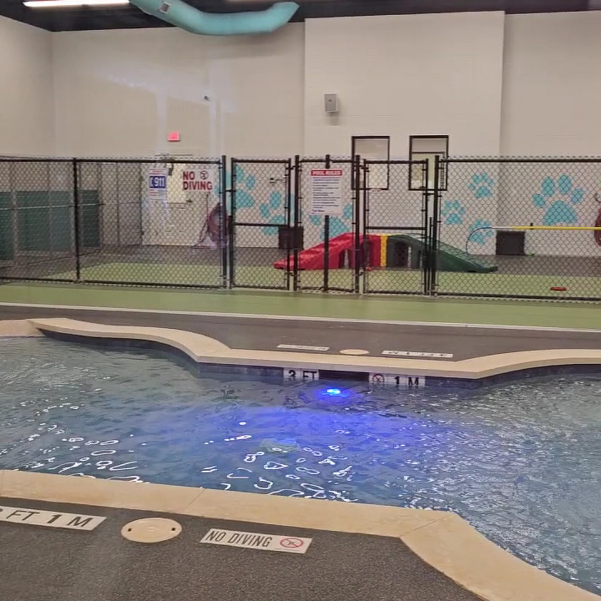 Pet Paradise Cedar Park Cedar Park