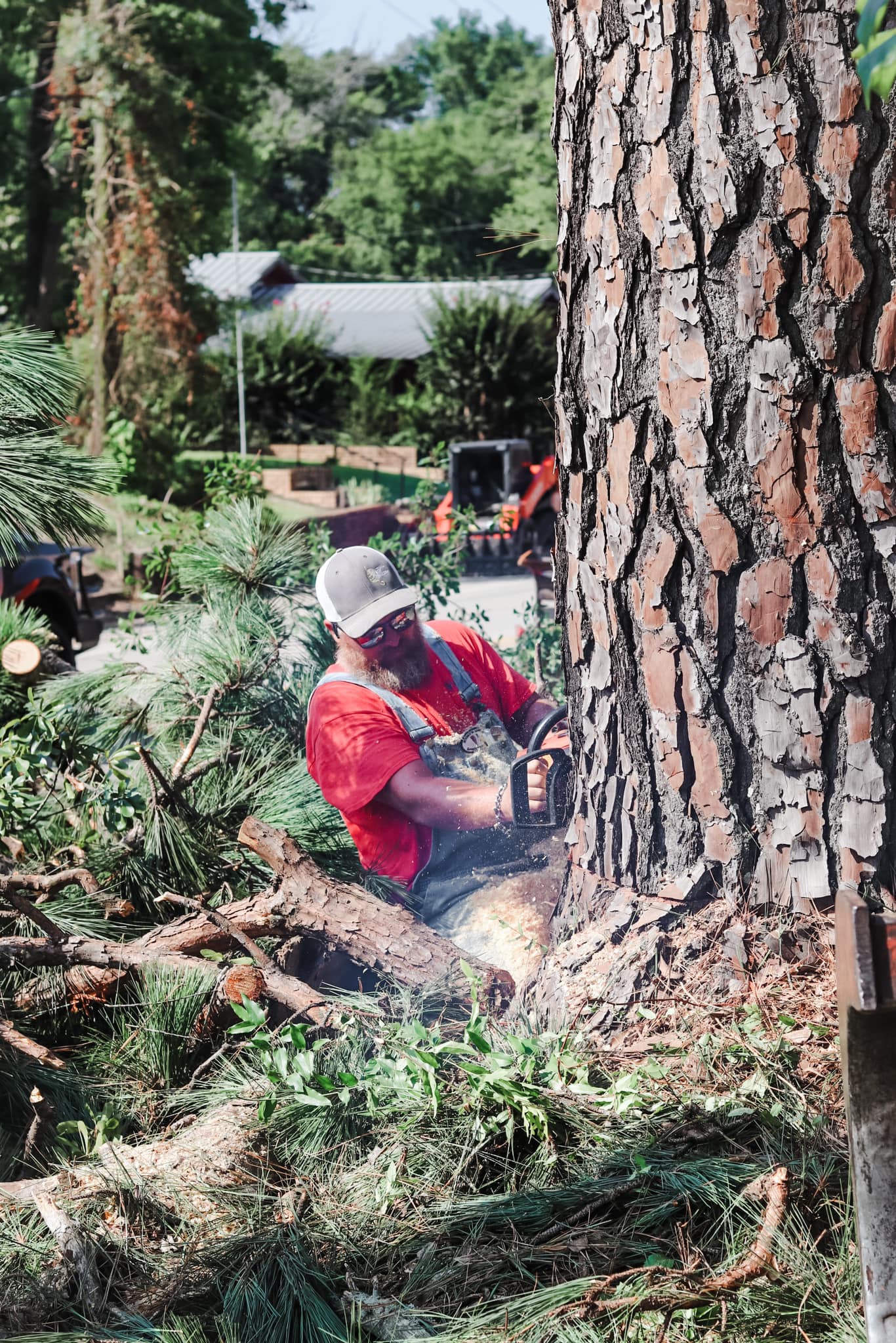 Campbell Crane & Tree Services