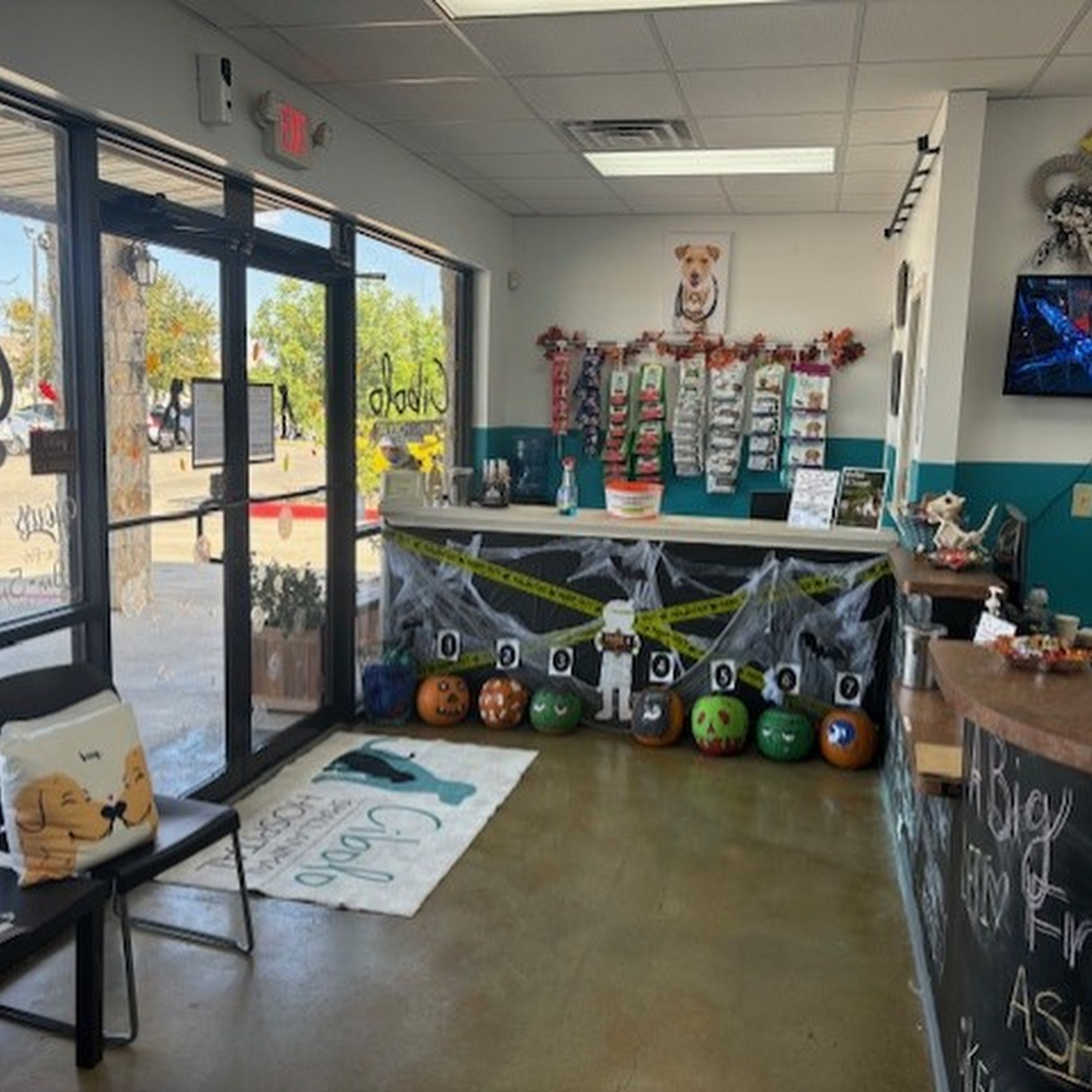 Cibolo Small Animal Hospital Cibolo