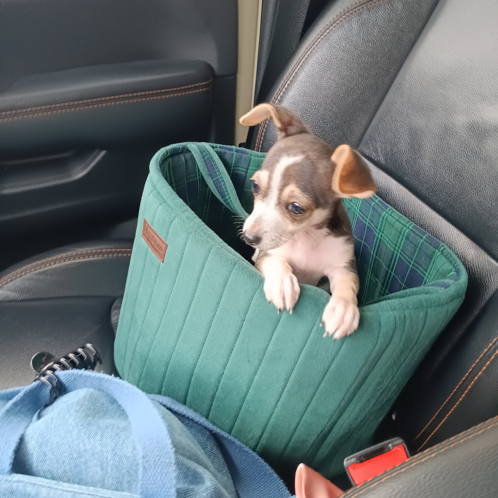 Nolan River Animal Hospital Cleburne