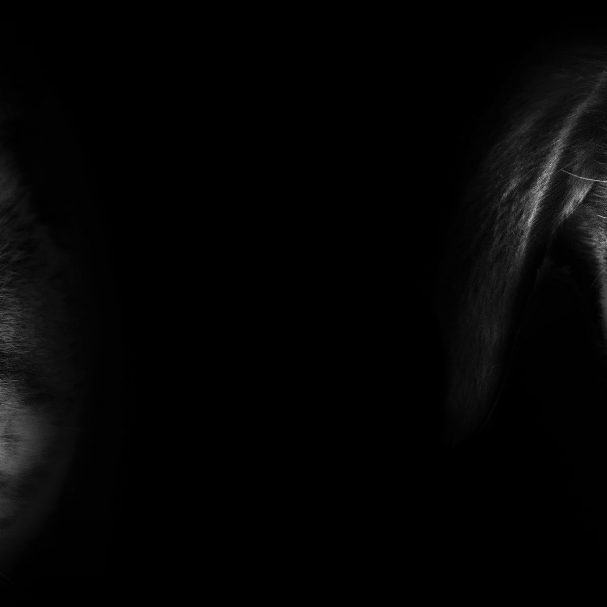 Summit Veterinary Hospital College Station