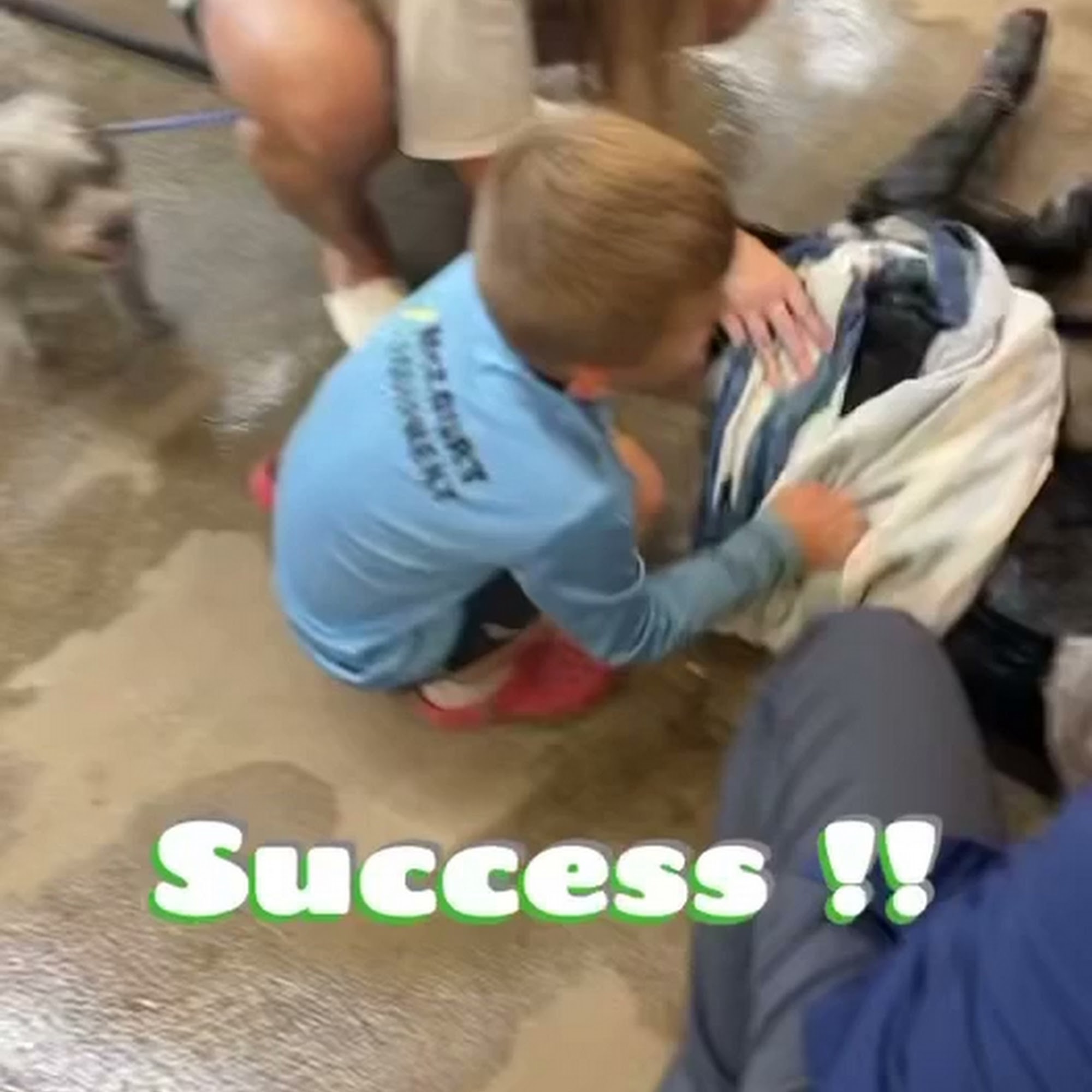 Colorado Valley Vet Columbus