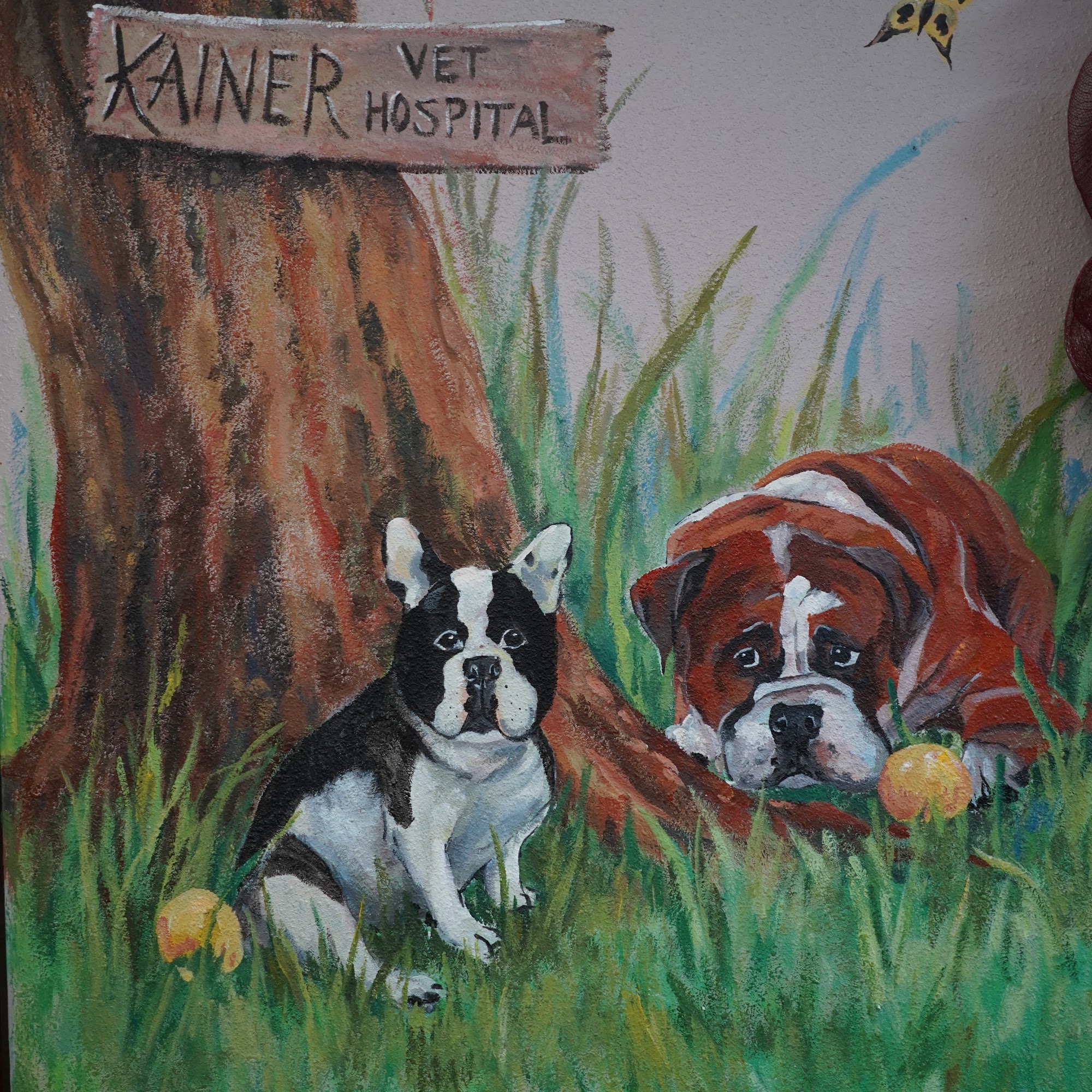 Kainer Veterinary Hospital Conroe