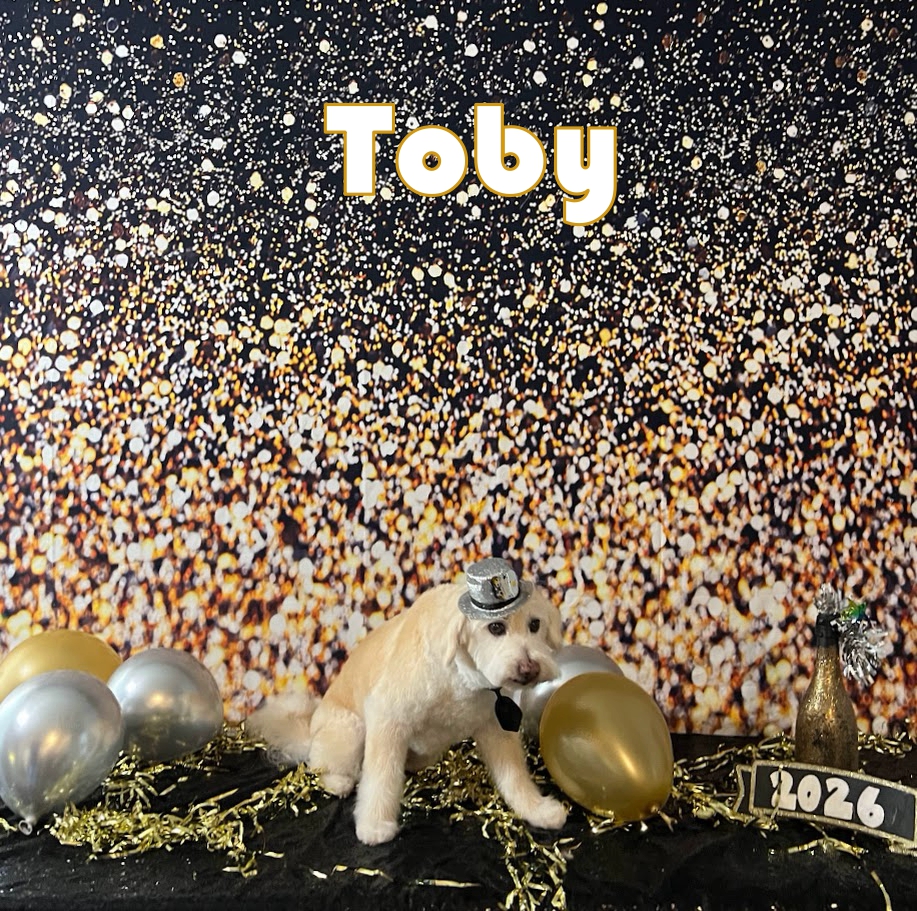 Jenny Sue’s Pet Grooming And Pet Oasis Conroe