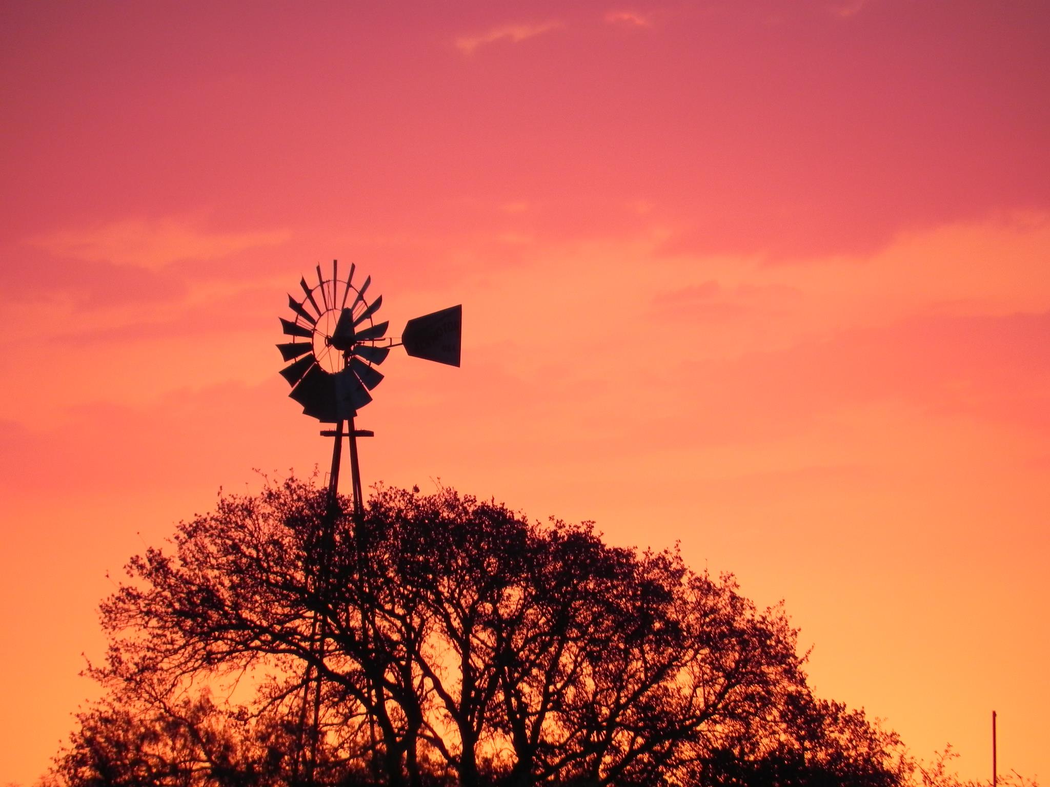 B Thomas Water Well Services