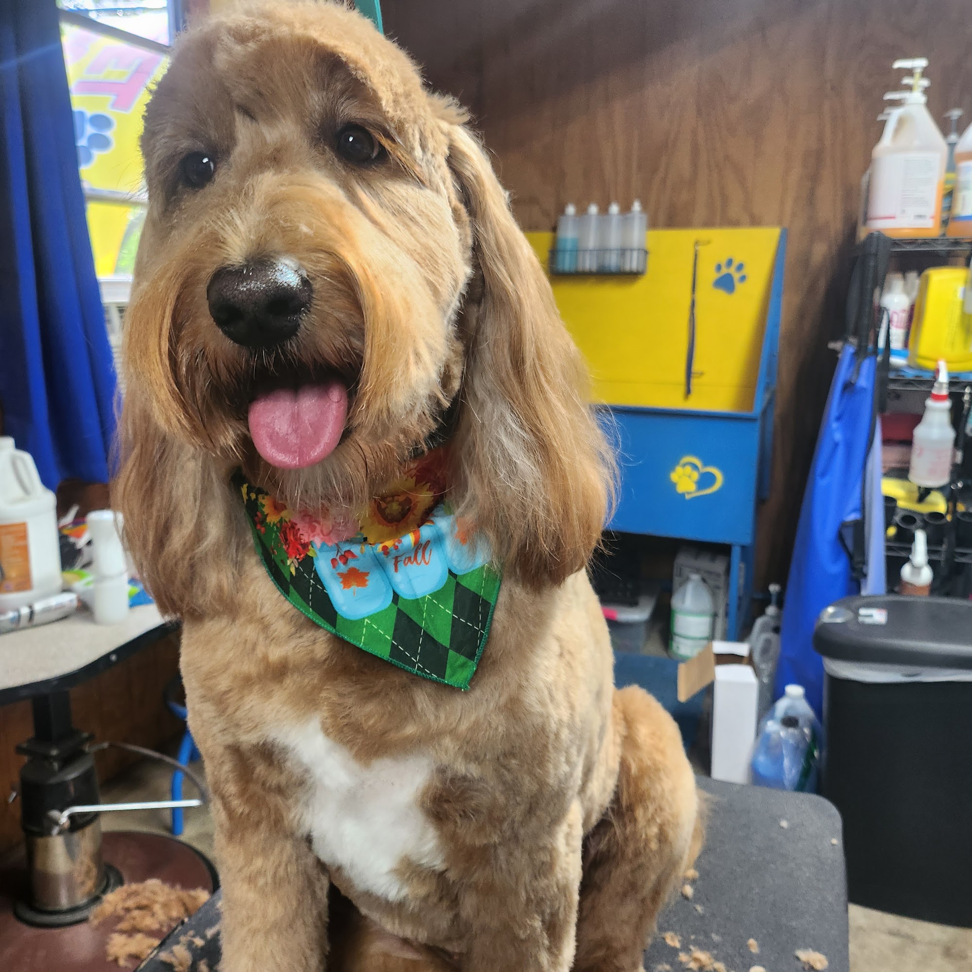 Waggin Trails & Fluffy Tails Grooming LLC Conroe
