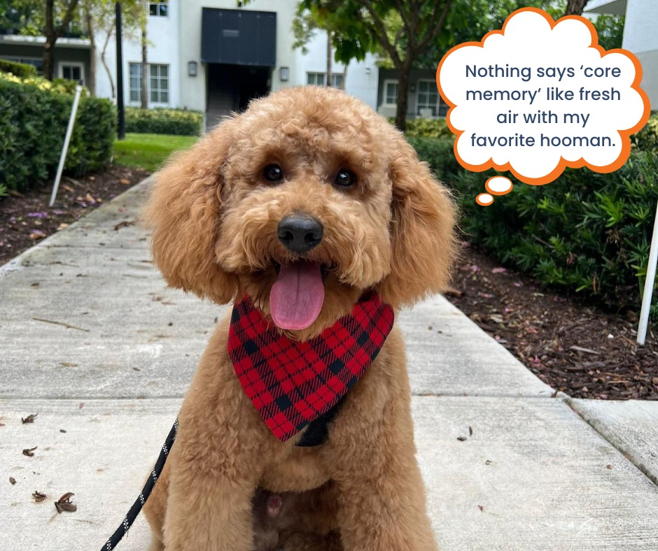 Petbar Boutique - Conroe Conroe