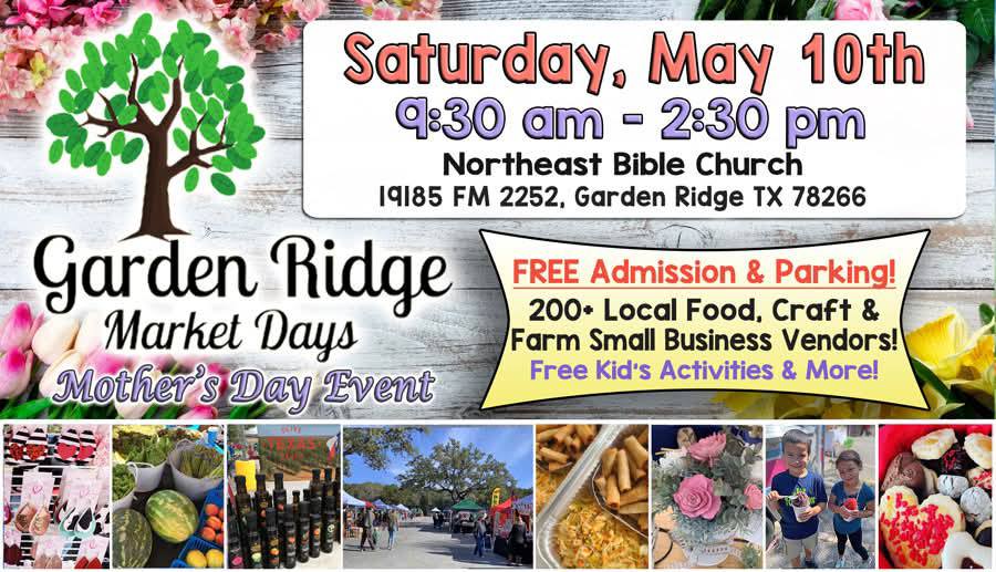 San Antonio Tamales Converse