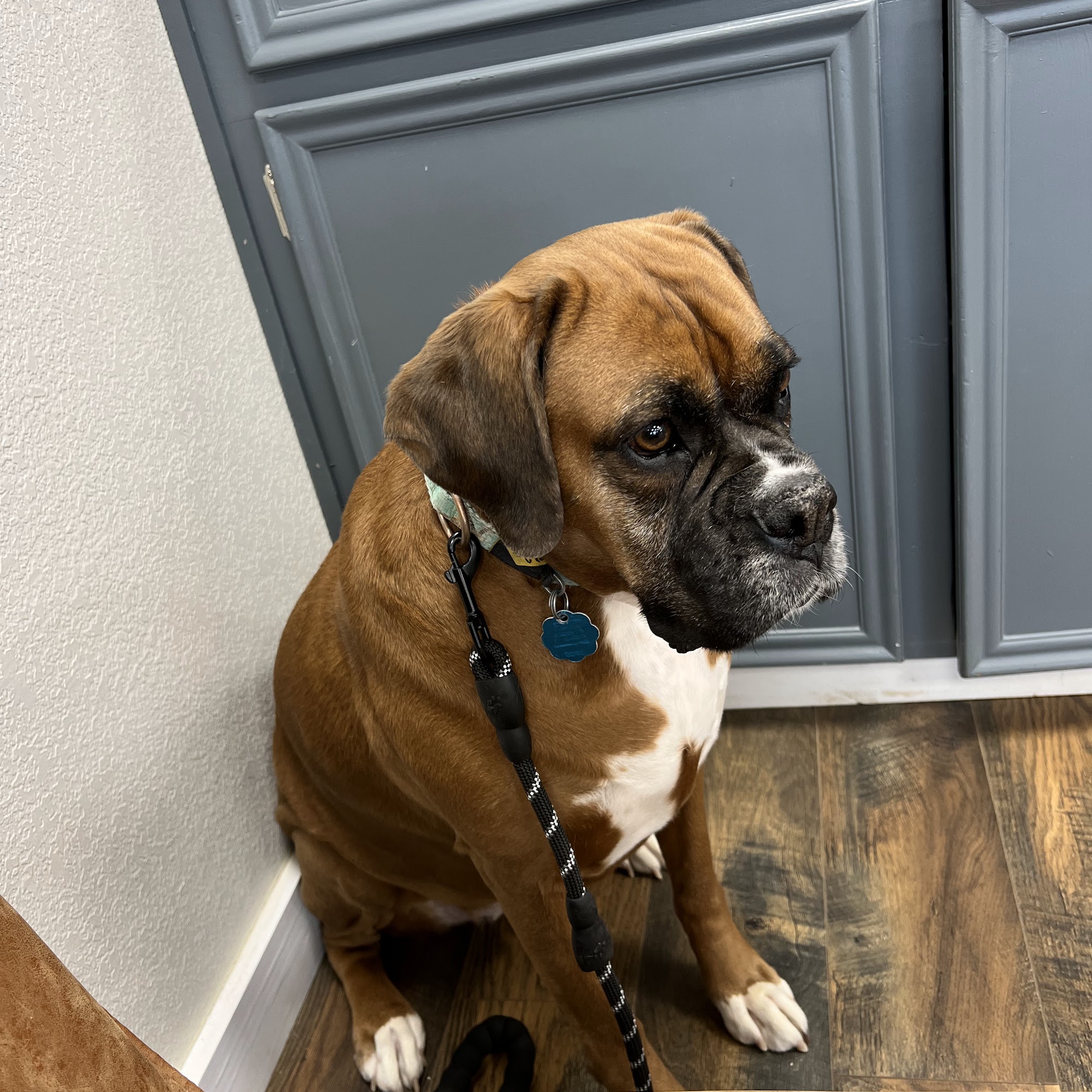 South Pine Animal Hospital Crockett