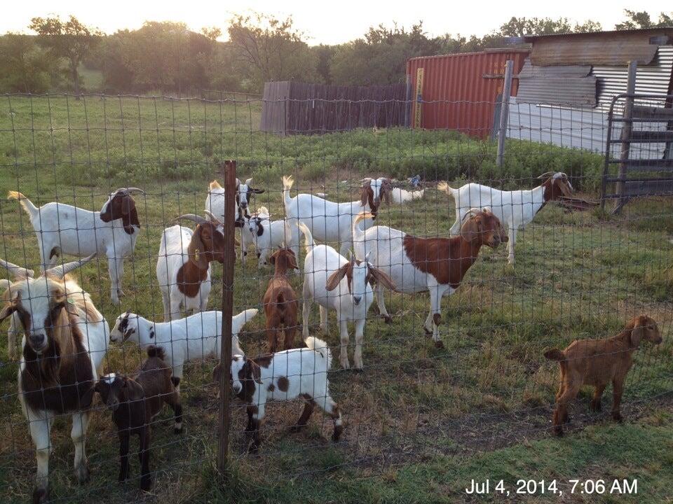 Photo credit: nextdoor