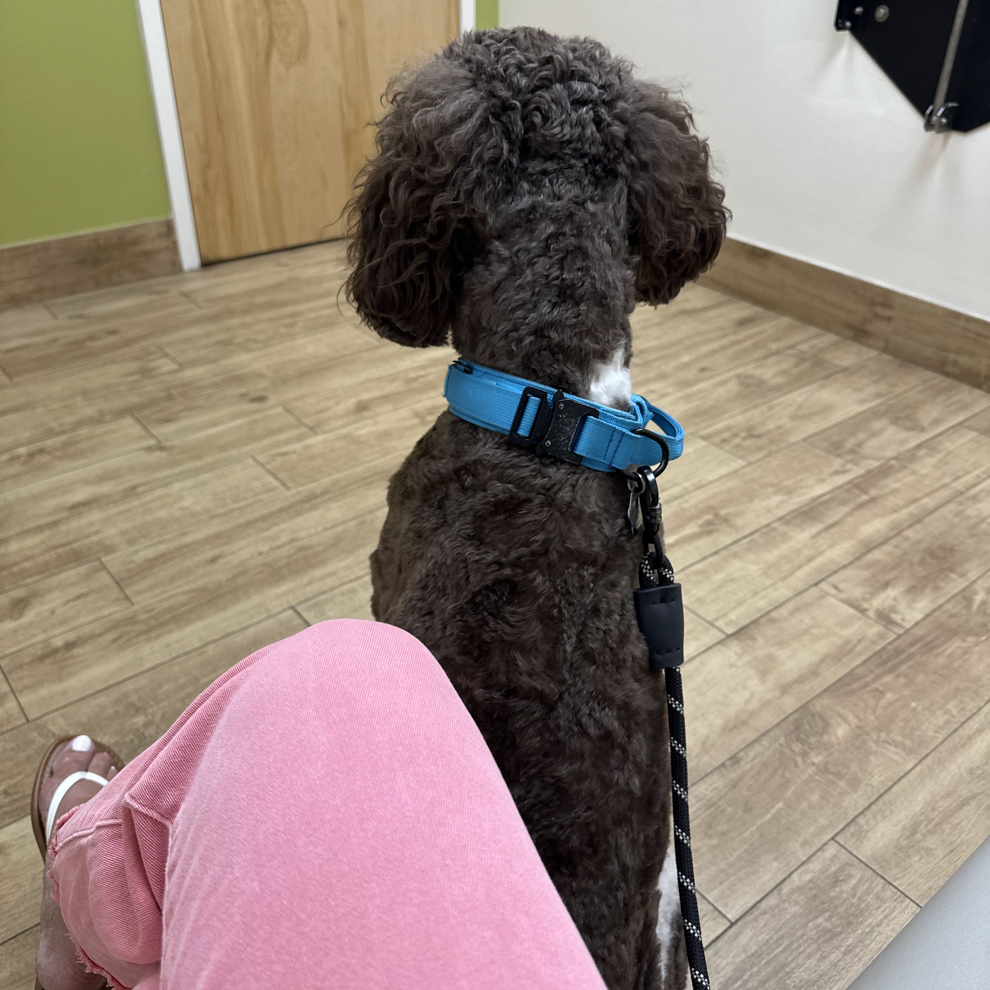 Fairfield Animal Hospital Cypress