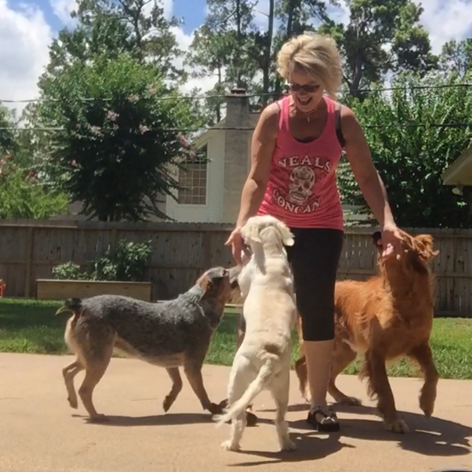 Cuddle Buddies Pet Care Cypress