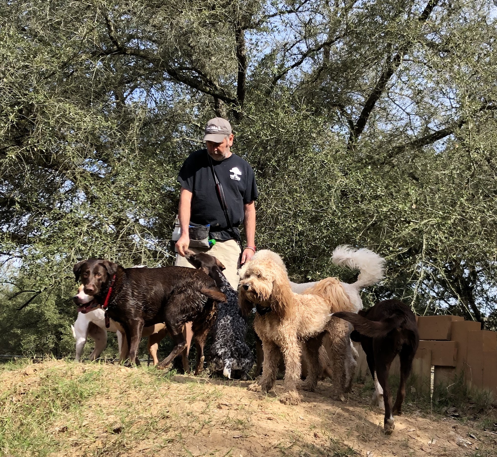 The Oaks Dog Ranch Cypress