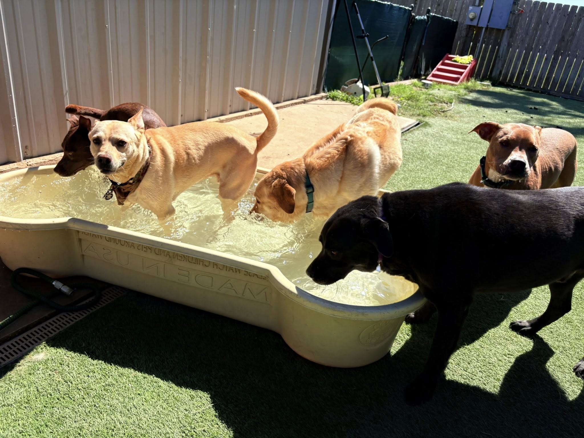 Urban Mutt Retreat Cypress
