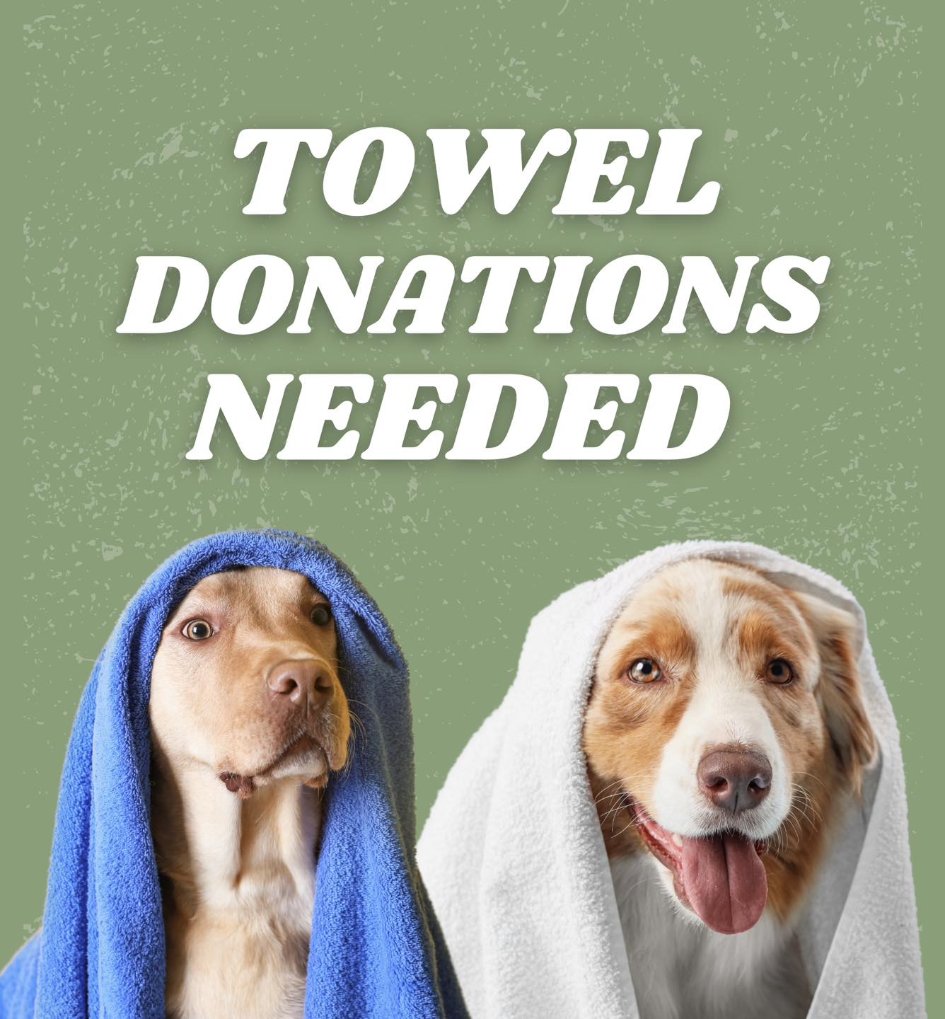 The Oaks Veterinary Clinic Cypress