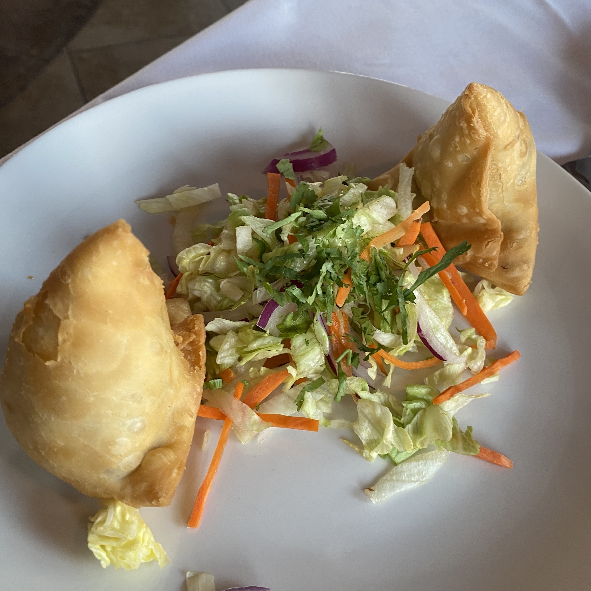 King of India Cypress