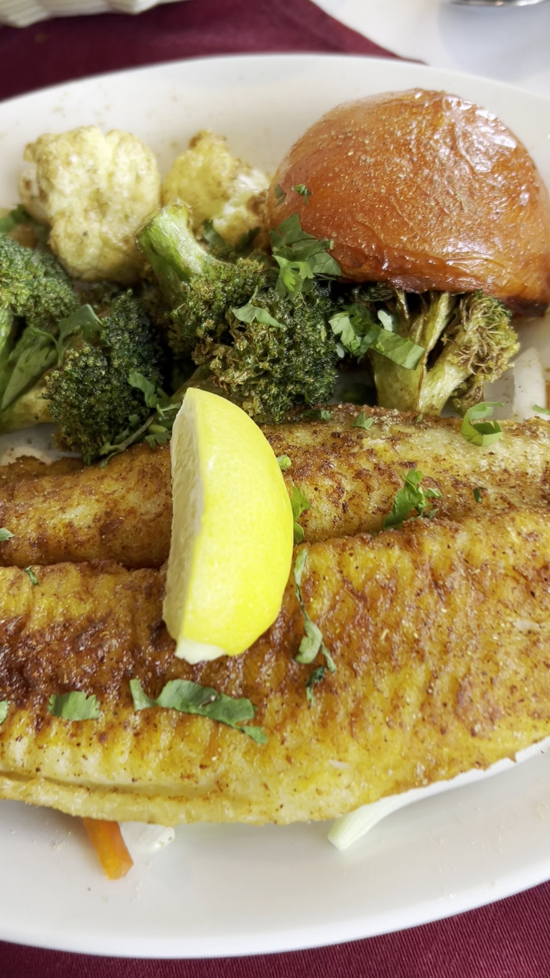 King of India Cypress