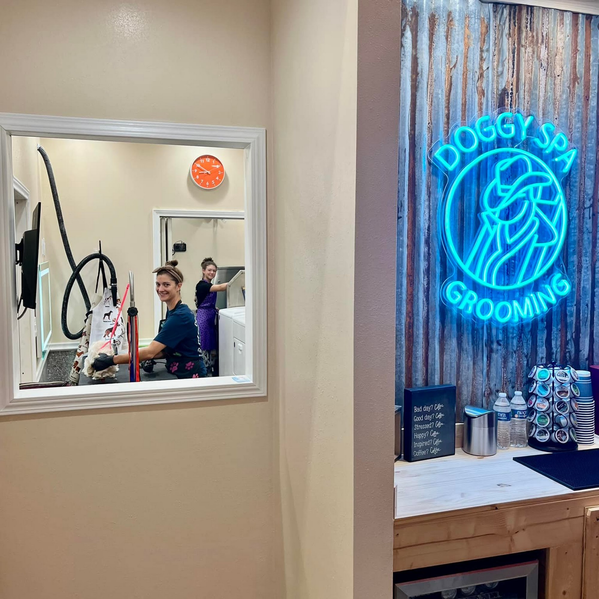 Doggy Spa Ranch Grooming and Boarding