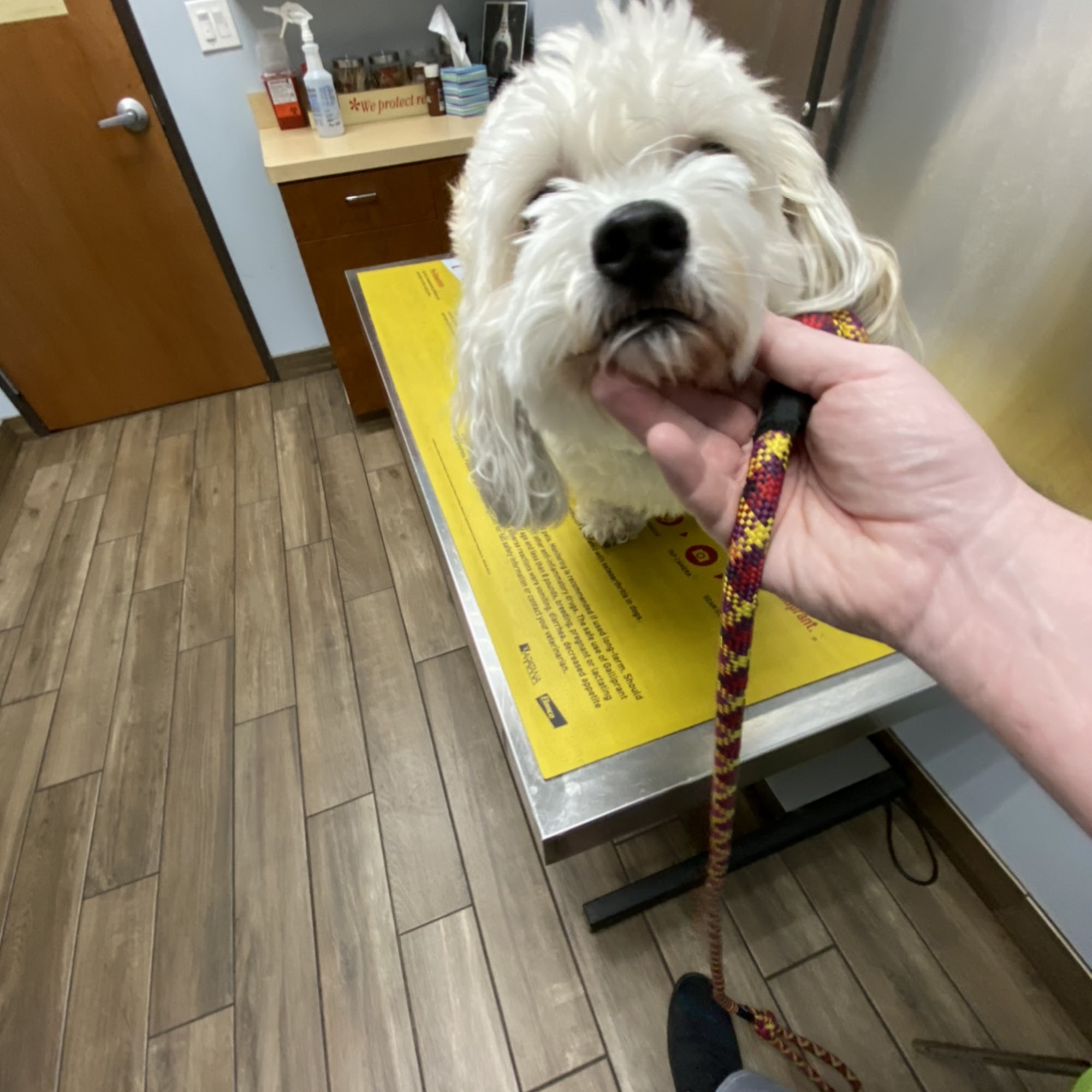 Midway Hollow Pet Clinic Dallas