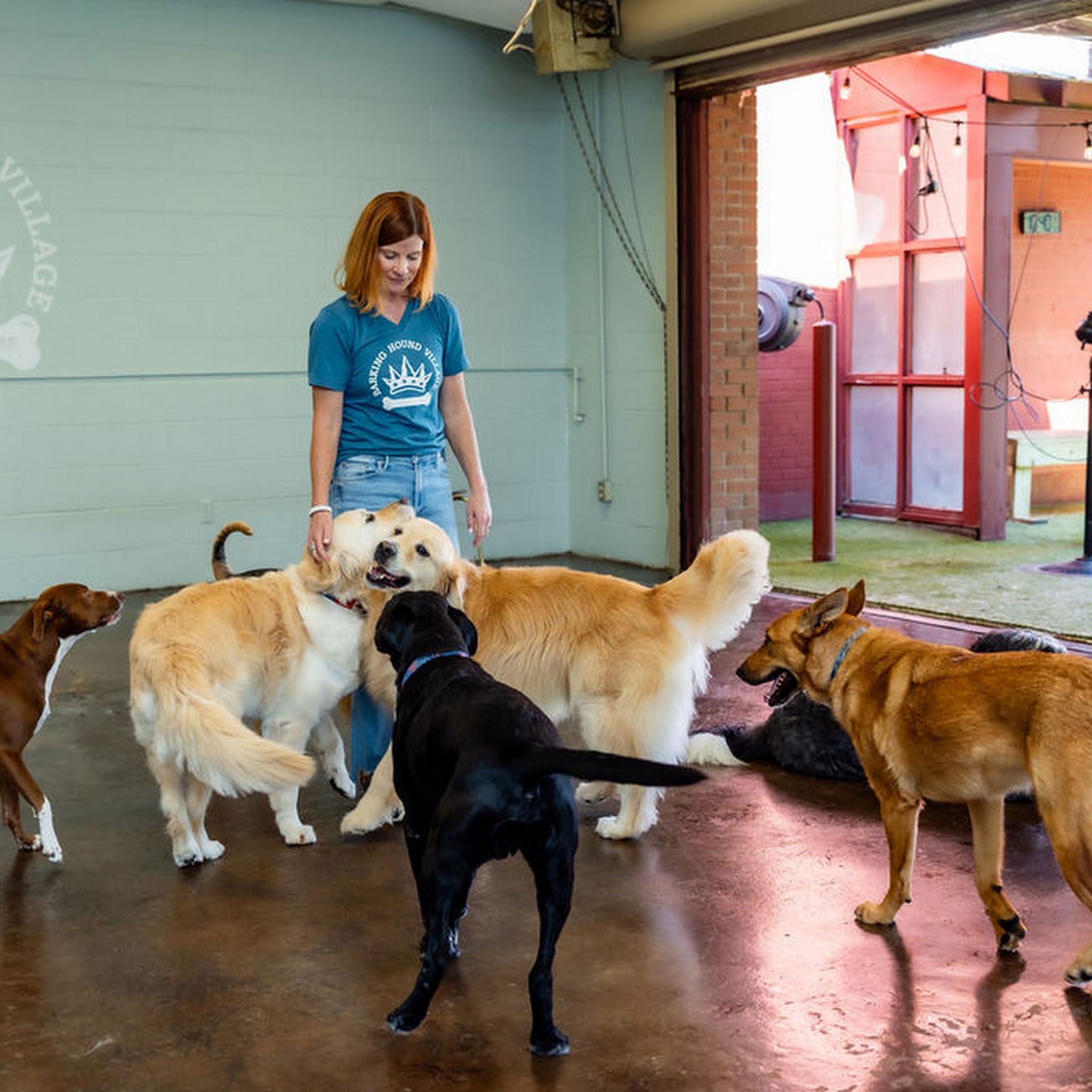 Barking Hound Village Central Dallas