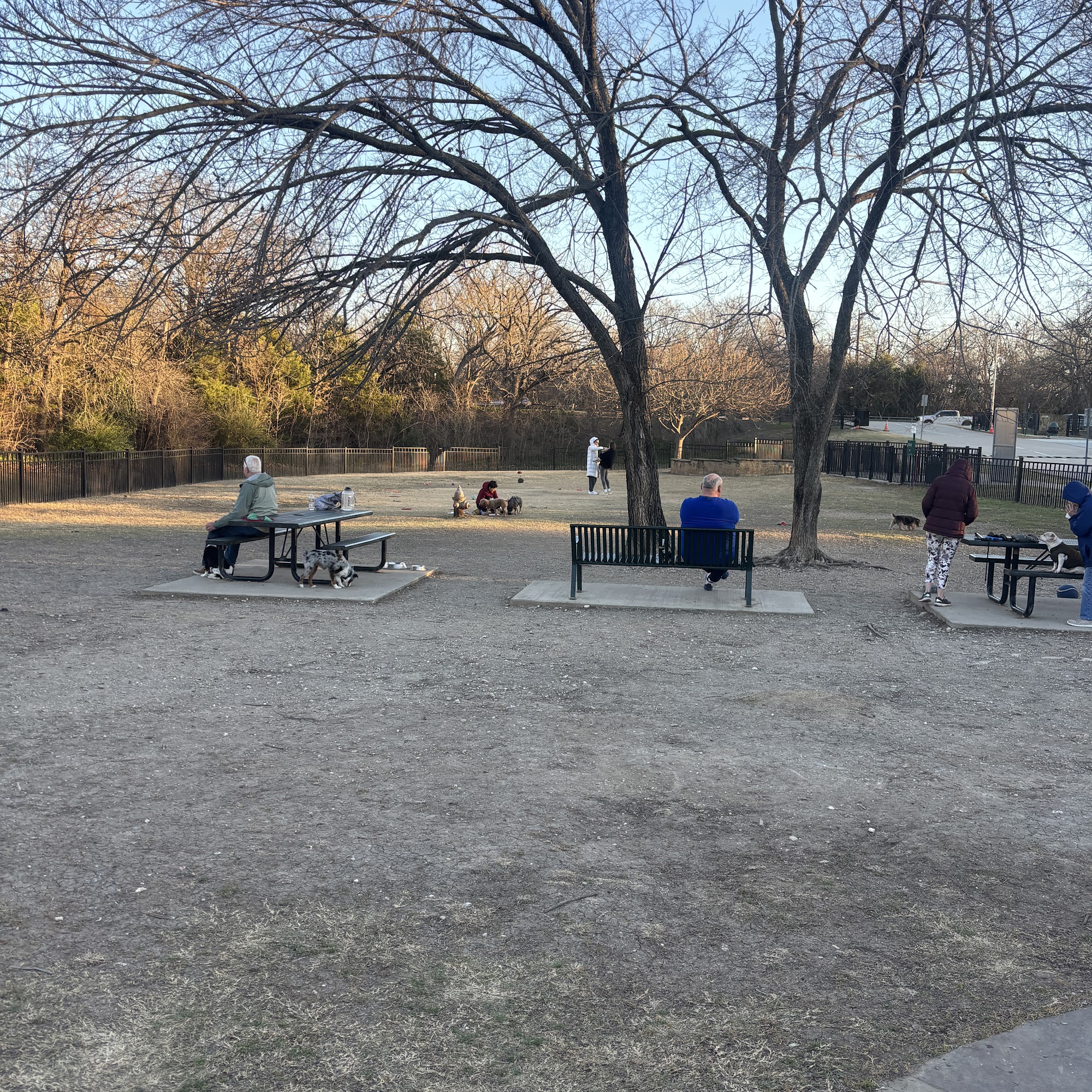 Wagging Tail Dog Park Dallas