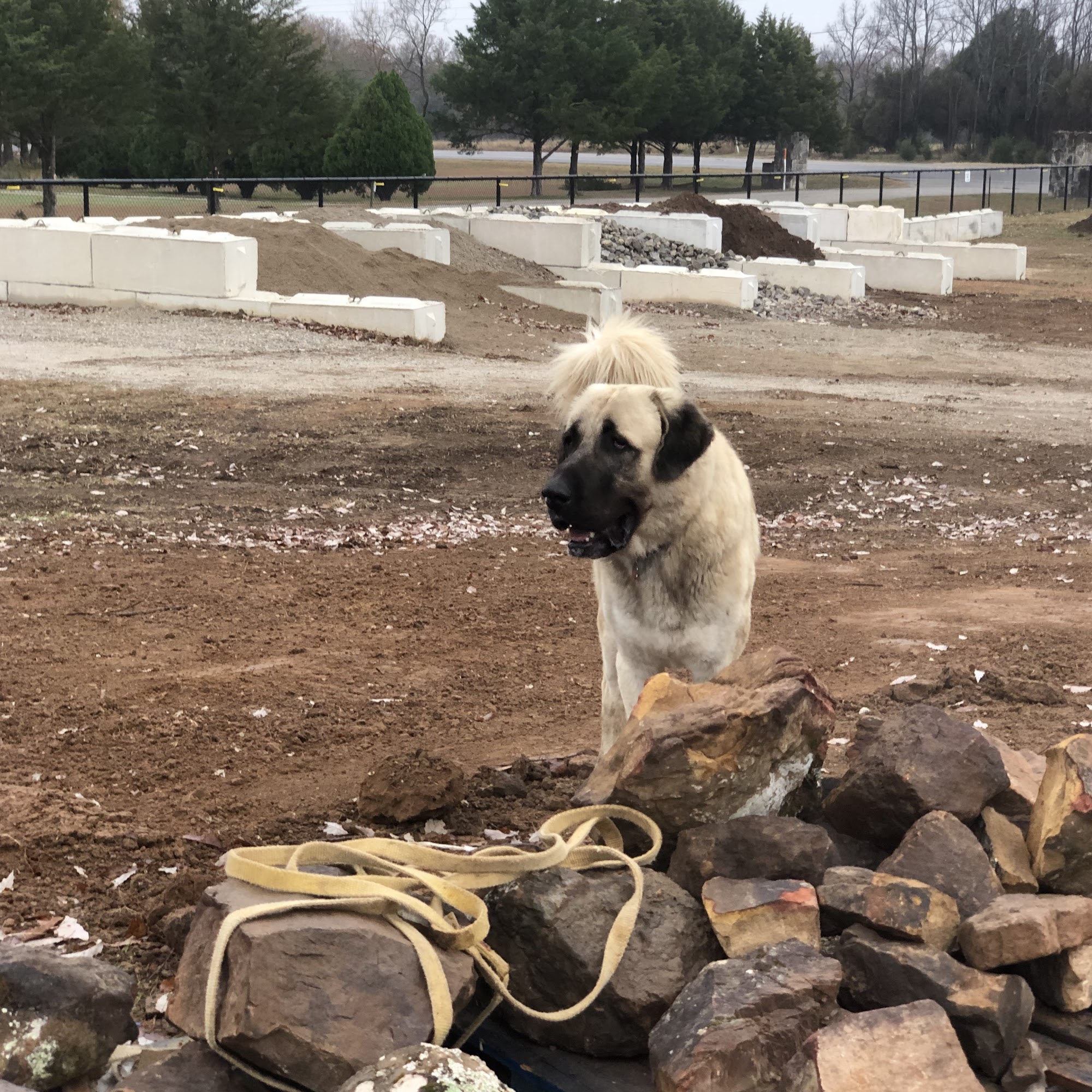 Plumcreek Animal Clinic Decatur