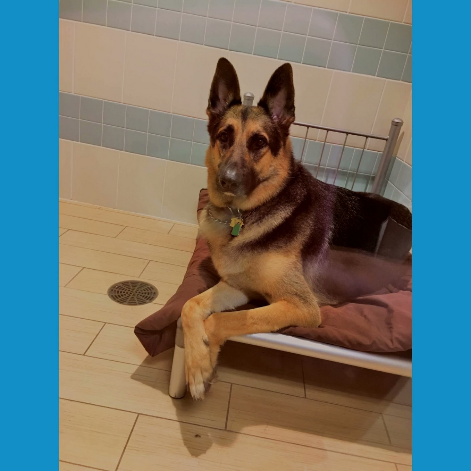 Deer Park Animal Hospital Deer Park