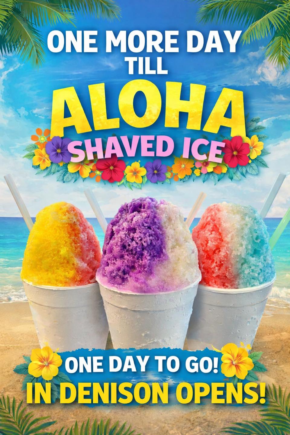 Aloha Shaved Ice Co. Denison
