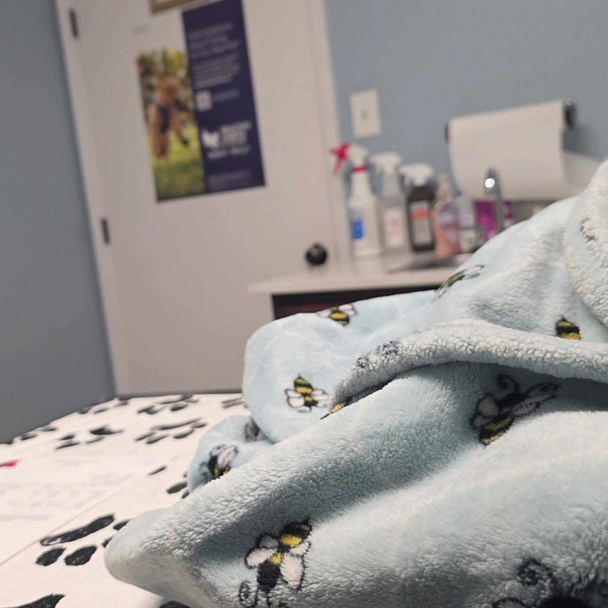 Seymour Animal Care Clinic Denton