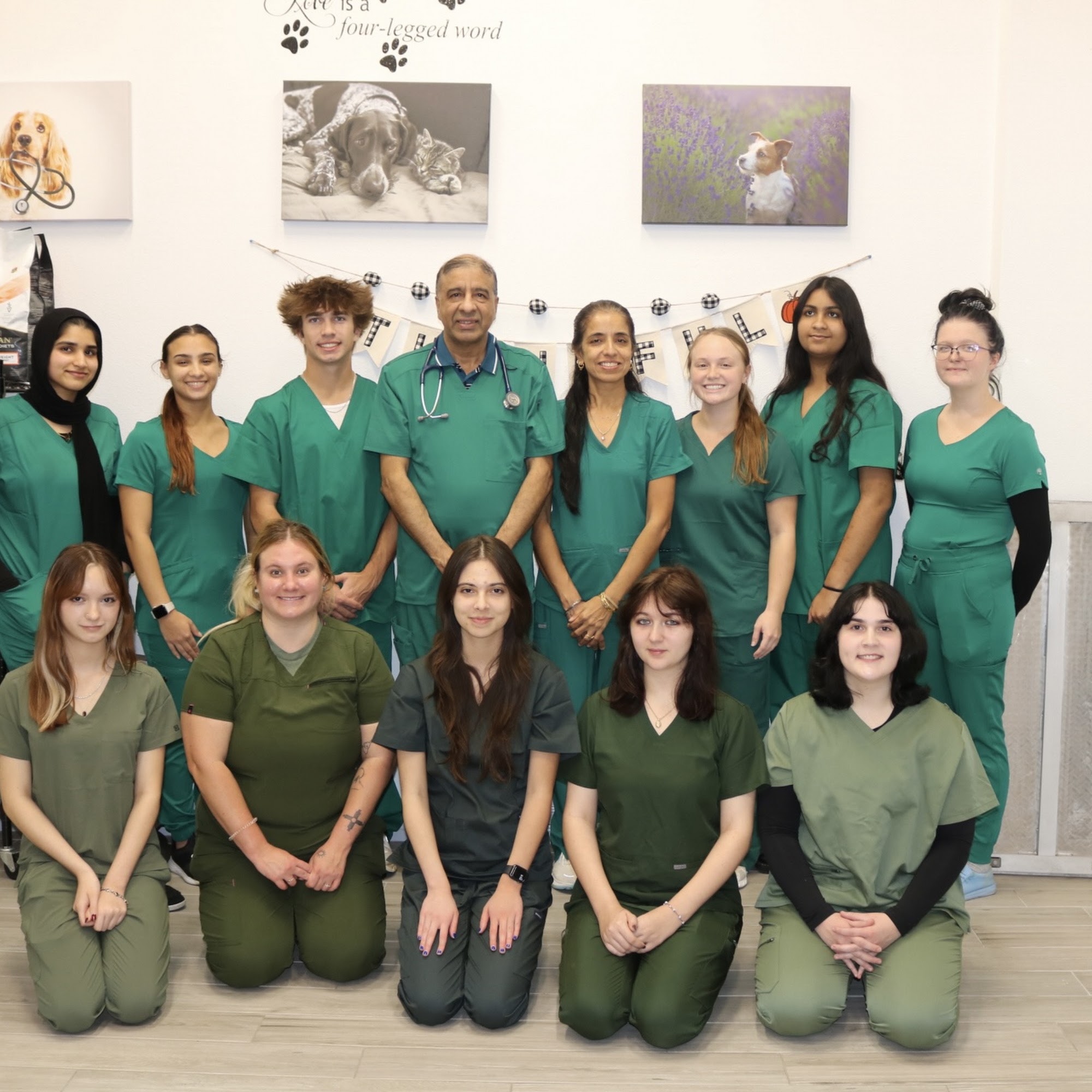 WellCare Pet Clinic Dickinson