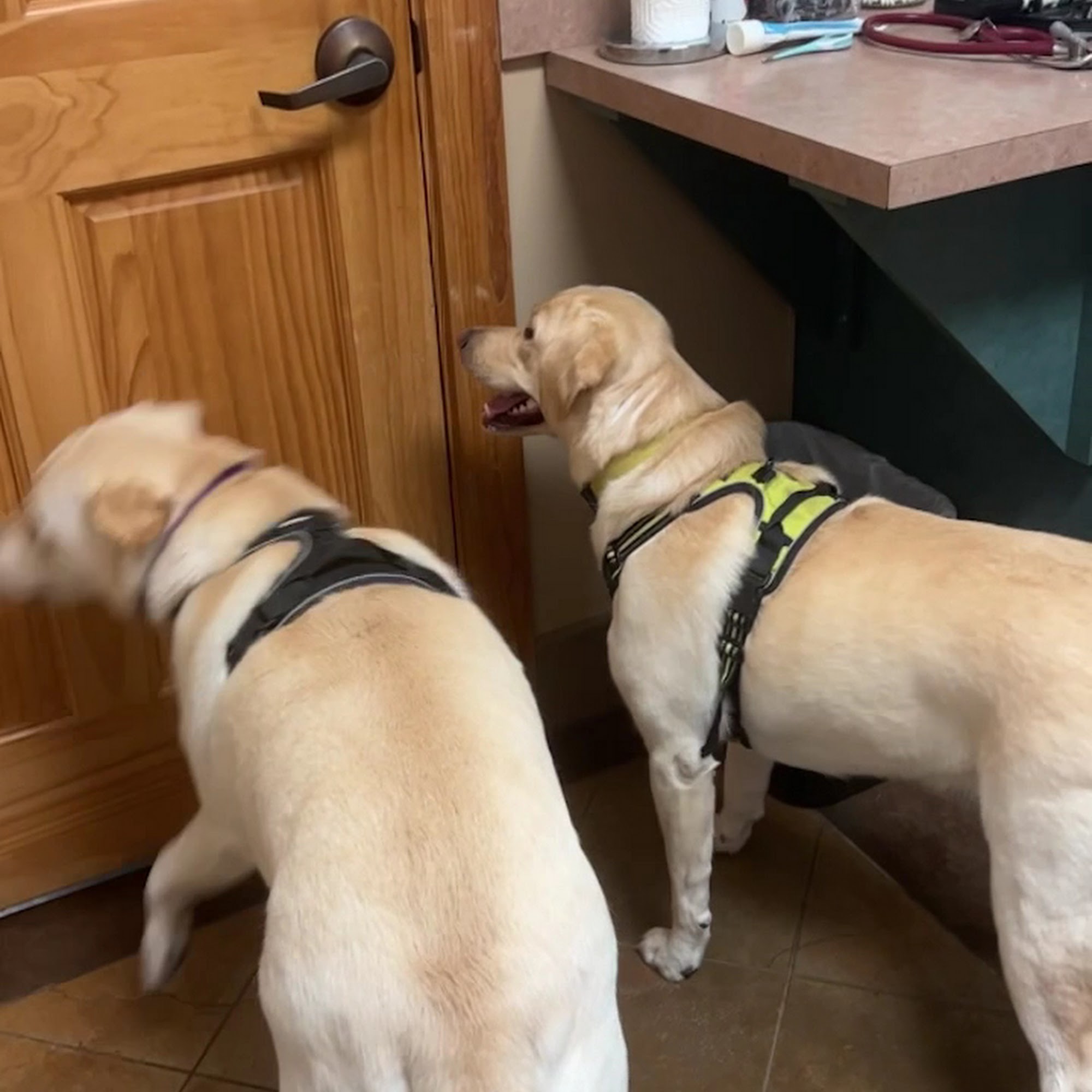 Sunset Canyon Veterinary Clinic Dripping Springs