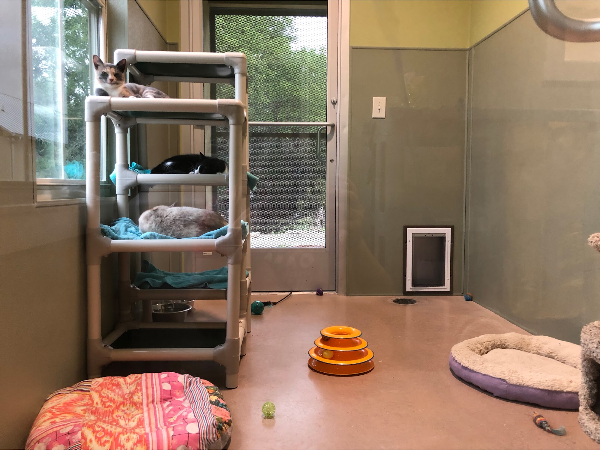 PAWS Shelter of Central Texas - Dripping Springs Campus Dripping Springs