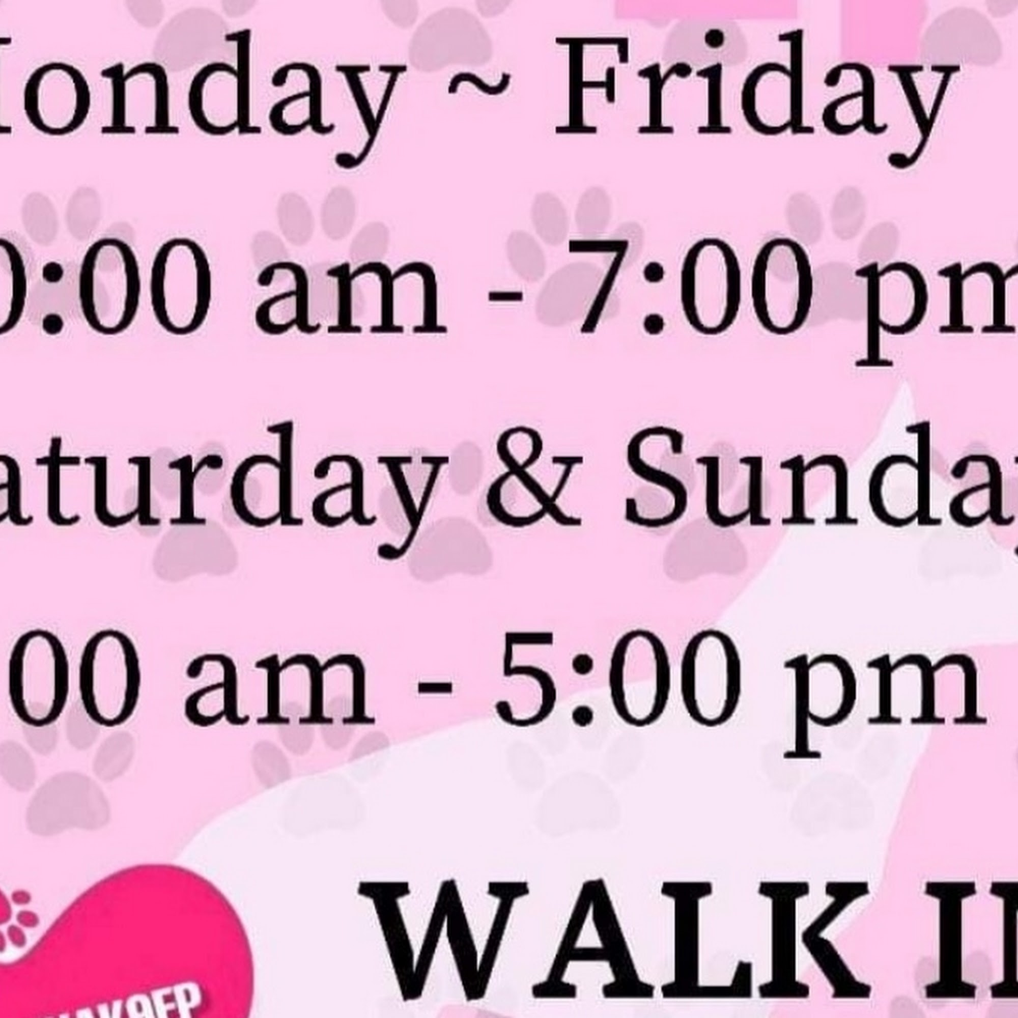 Viva K9 Training, Boarding and Grooming Center Eagle Pass