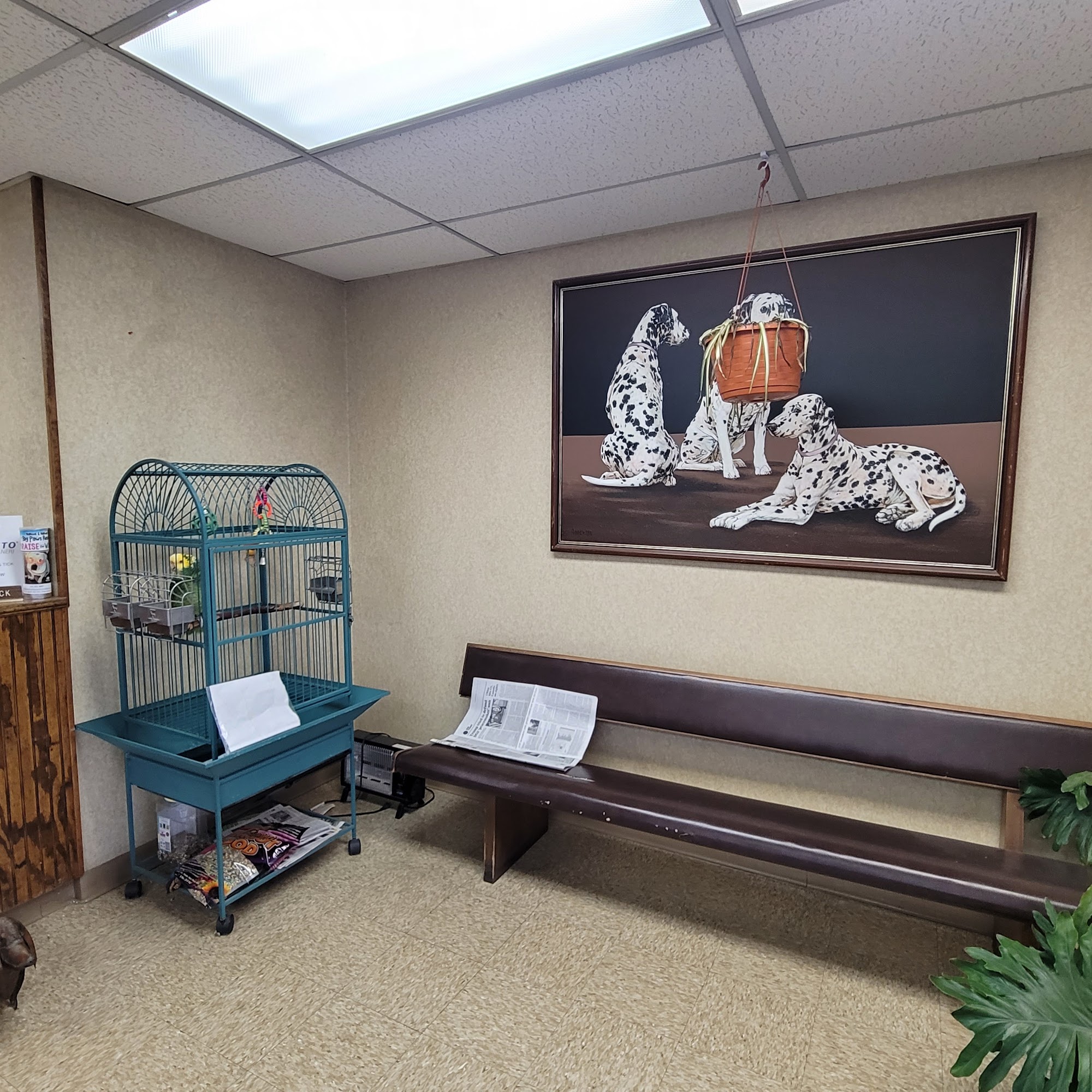 Brown County Animal Clinic Early