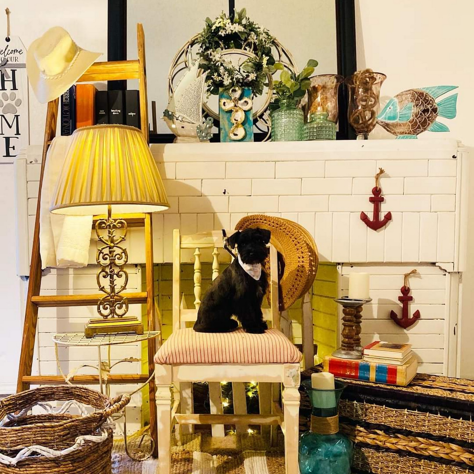 Pets A Like Edinburg